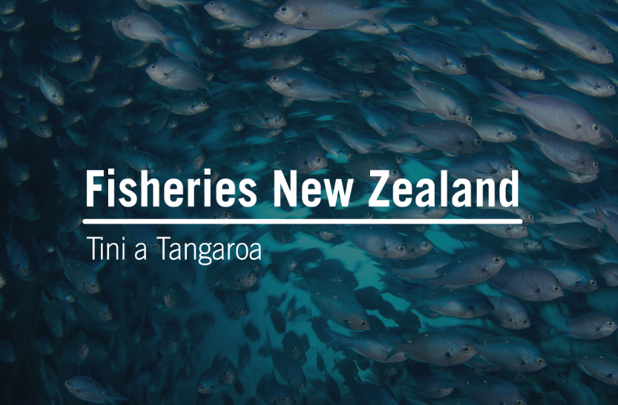 Fish NZ Logo 2025 07 16.png