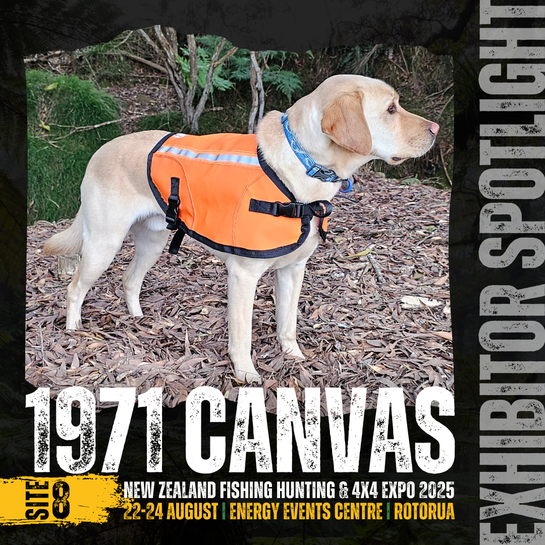 1971 Canvas - APPROVED.png