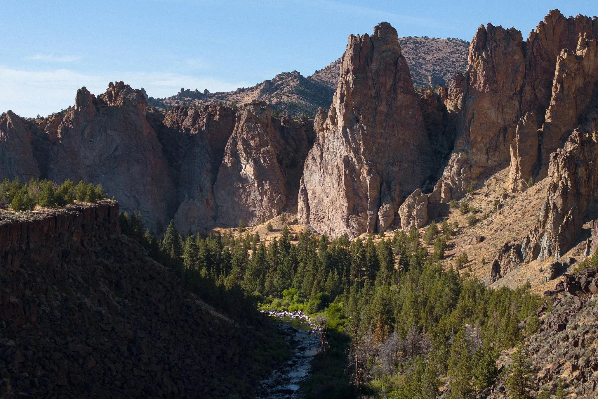 A scenic view of a desert canyon with towering rock formations and a dense forest at the base, under a clear blue sky.