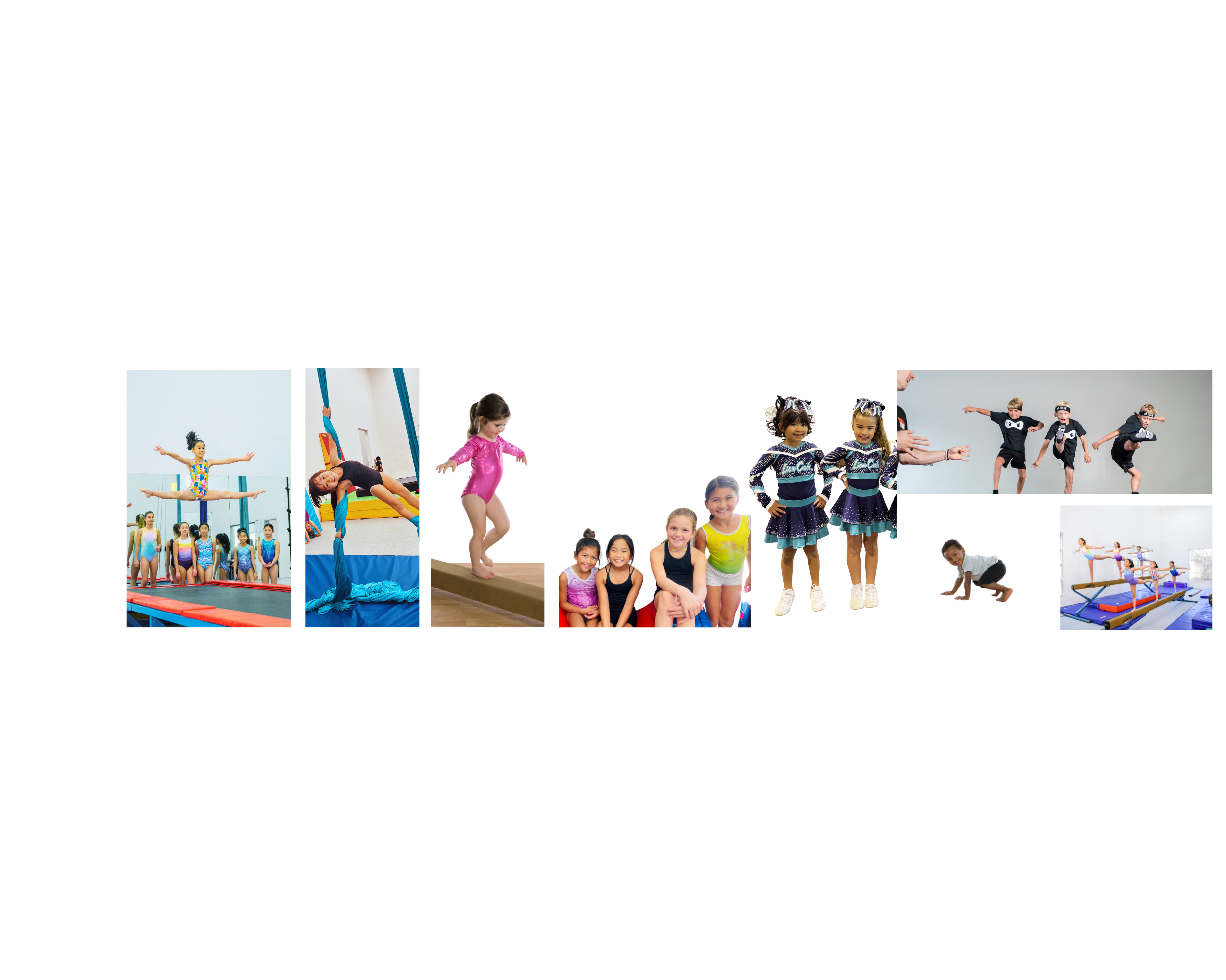Camps Los Gatos Elite Gymnastics Athletics Dance And More camps-los-gatos-elite-gymnastics-athletics-dance-and-more