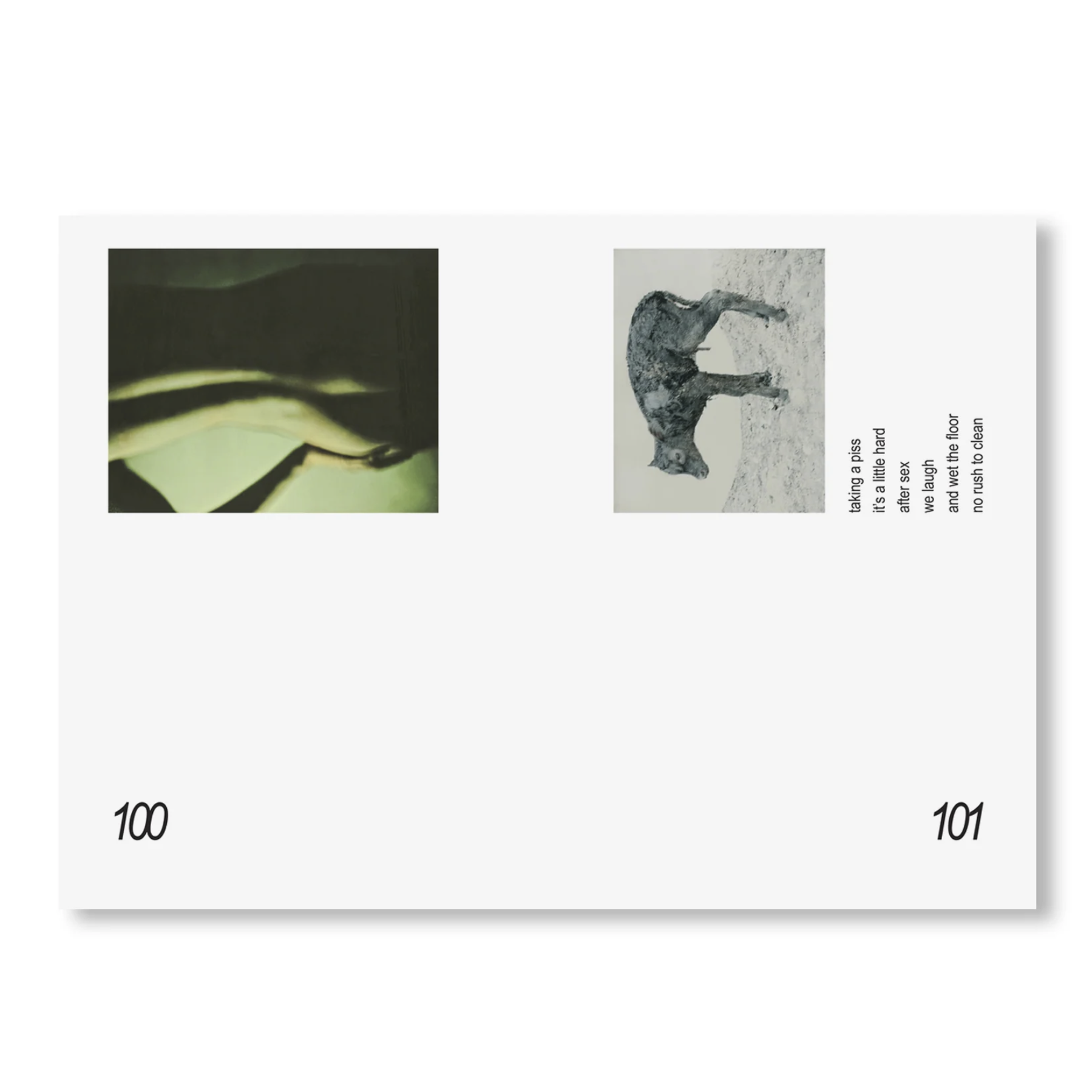 p100-101.png