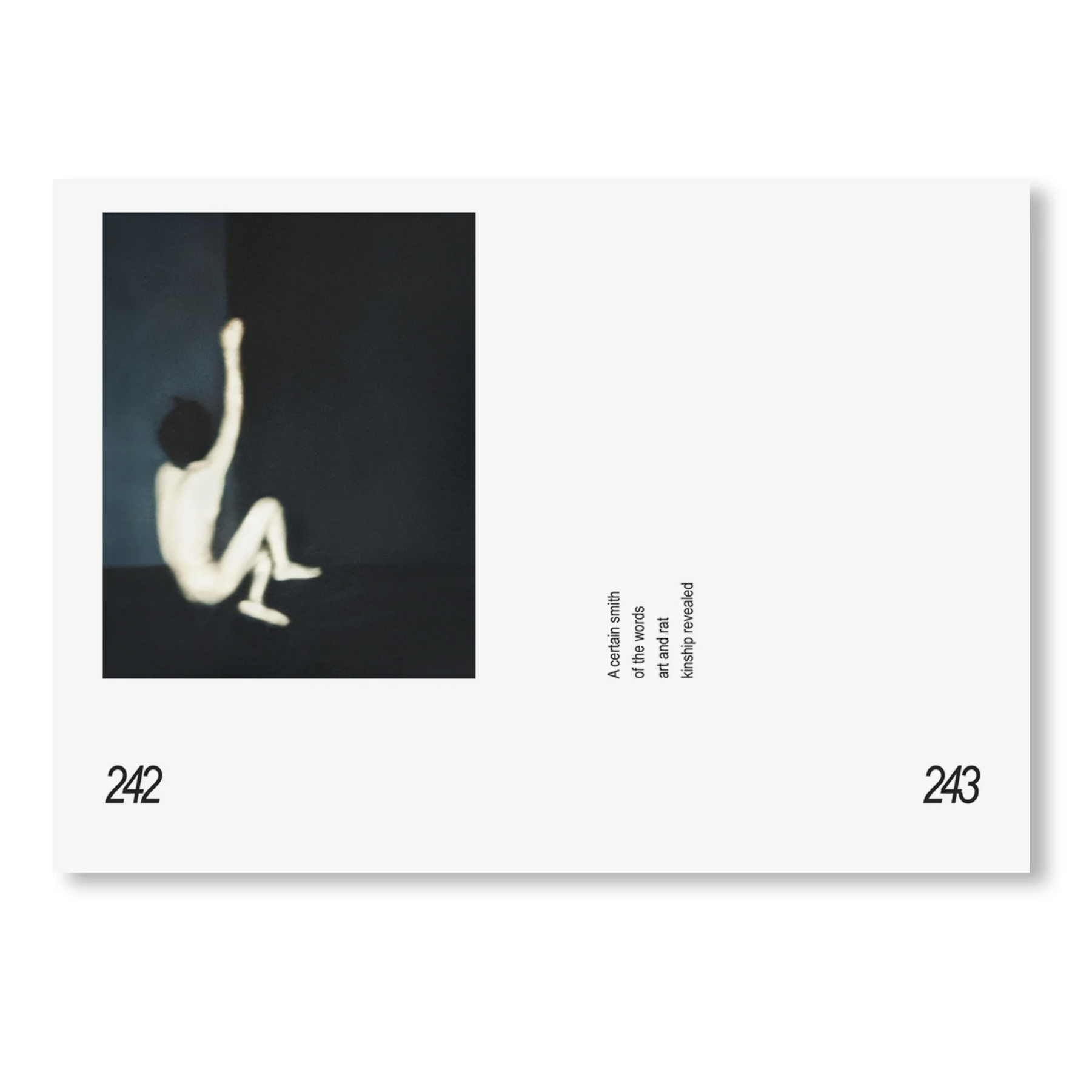 p242-243.png