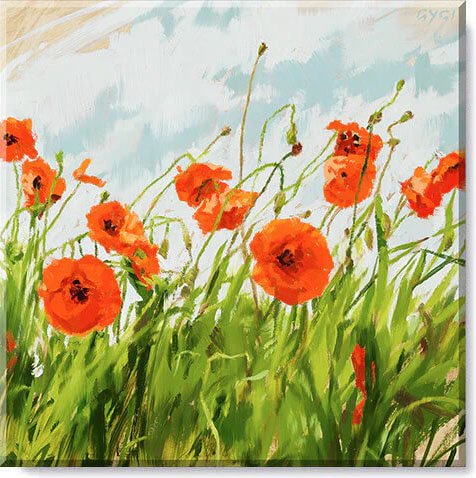 DarrenGygi_Poppy-Field.jpg