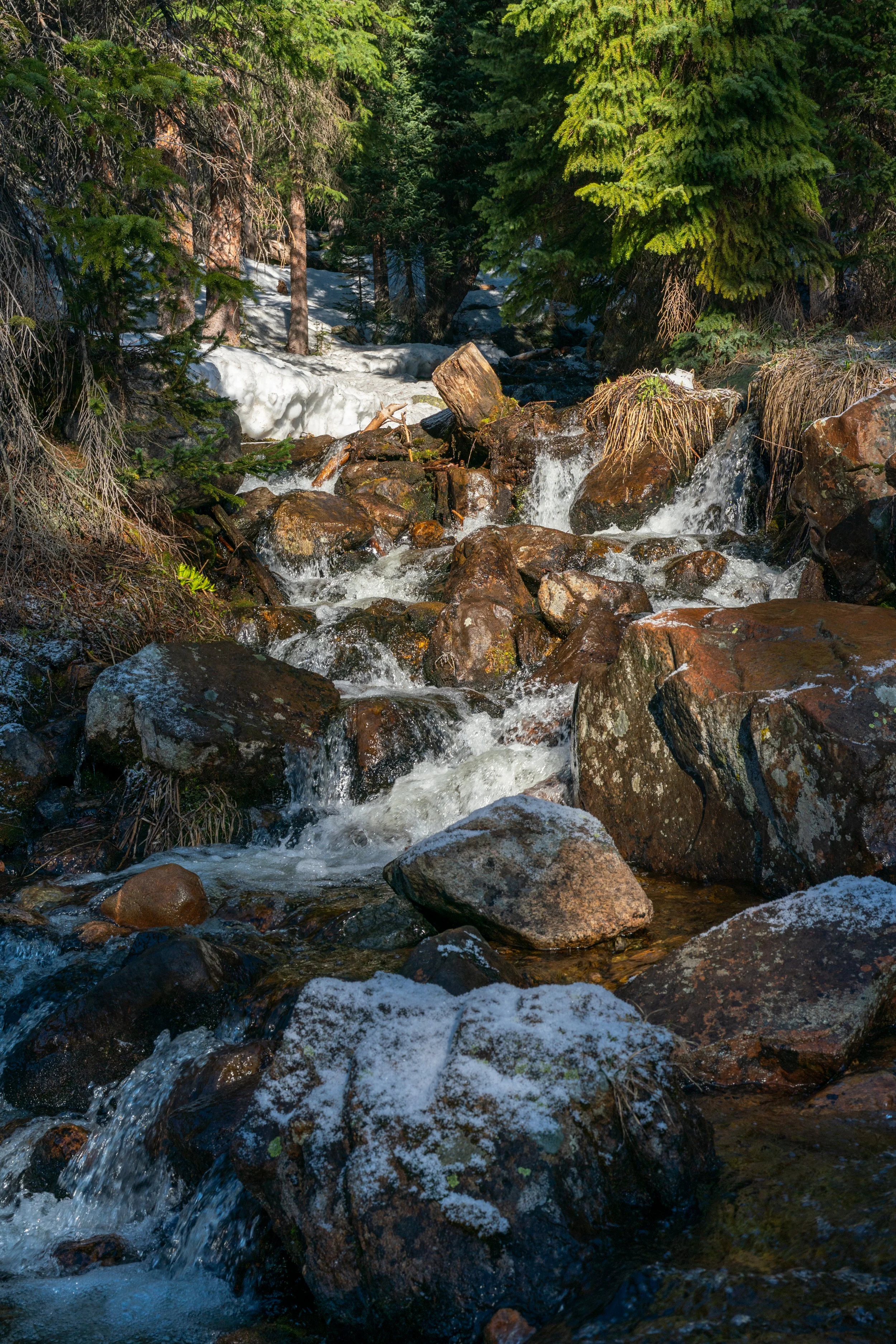DSC07184-2.jpg