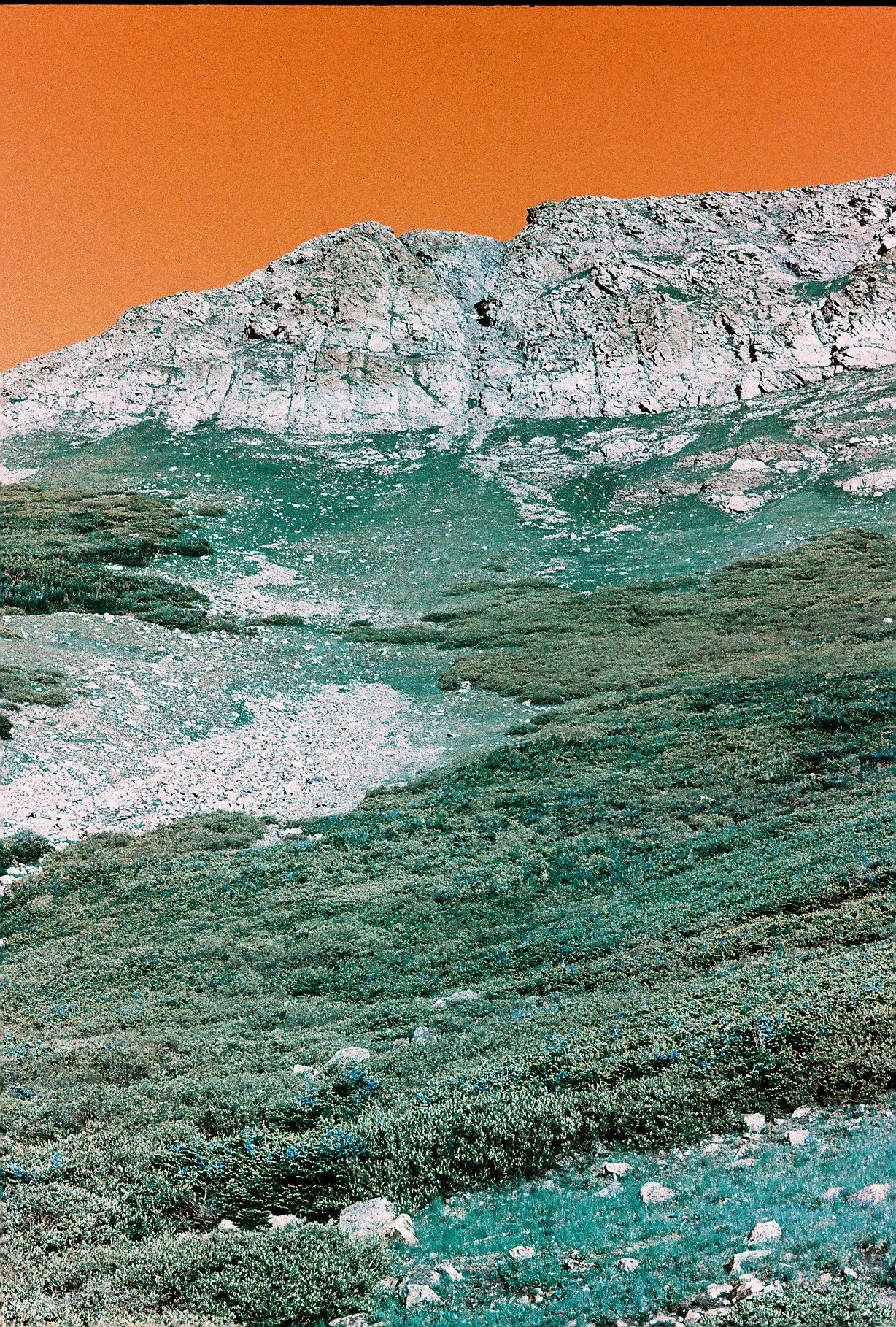 R1-00399-0016.JPG