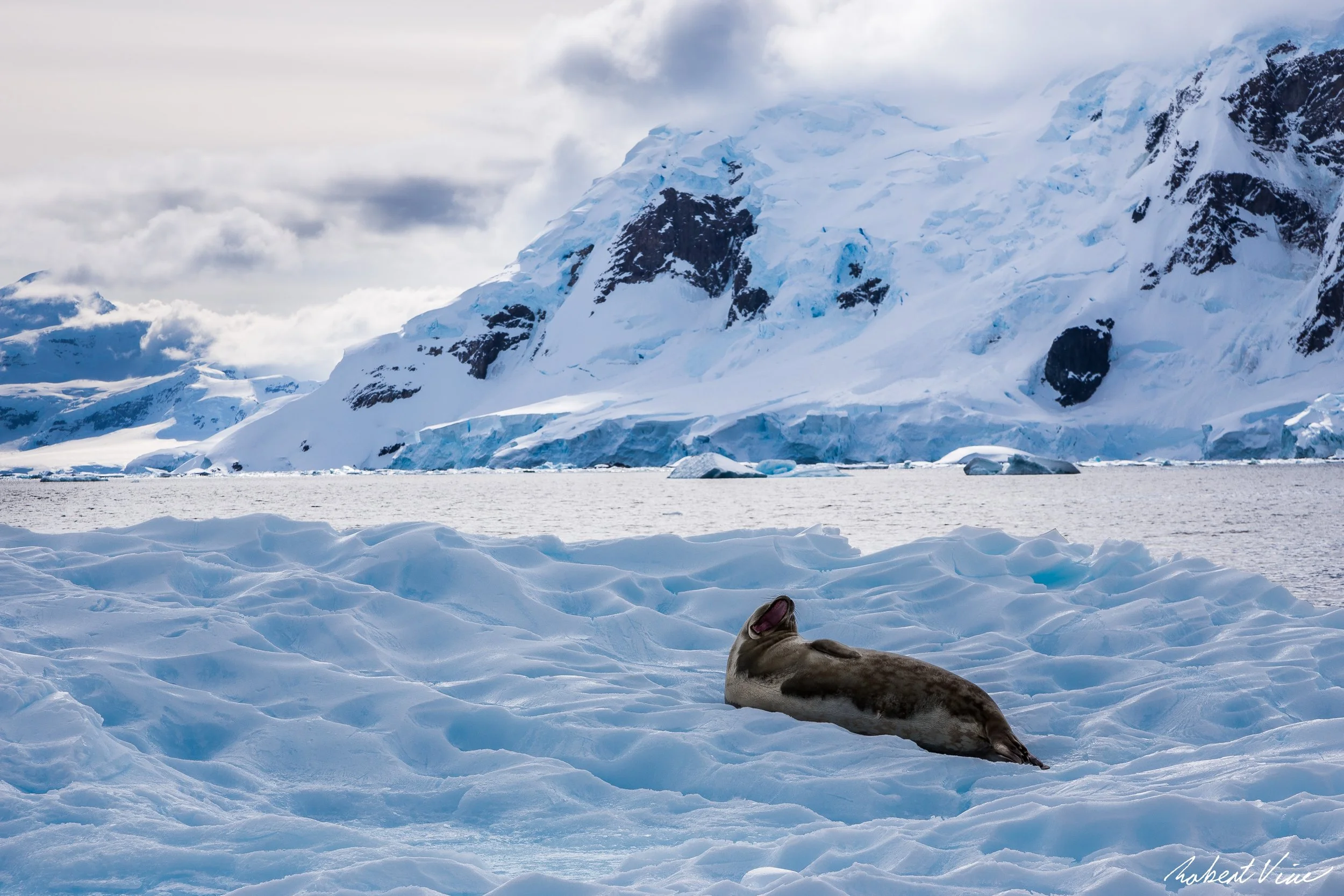 Flood and Fire-33.jpg