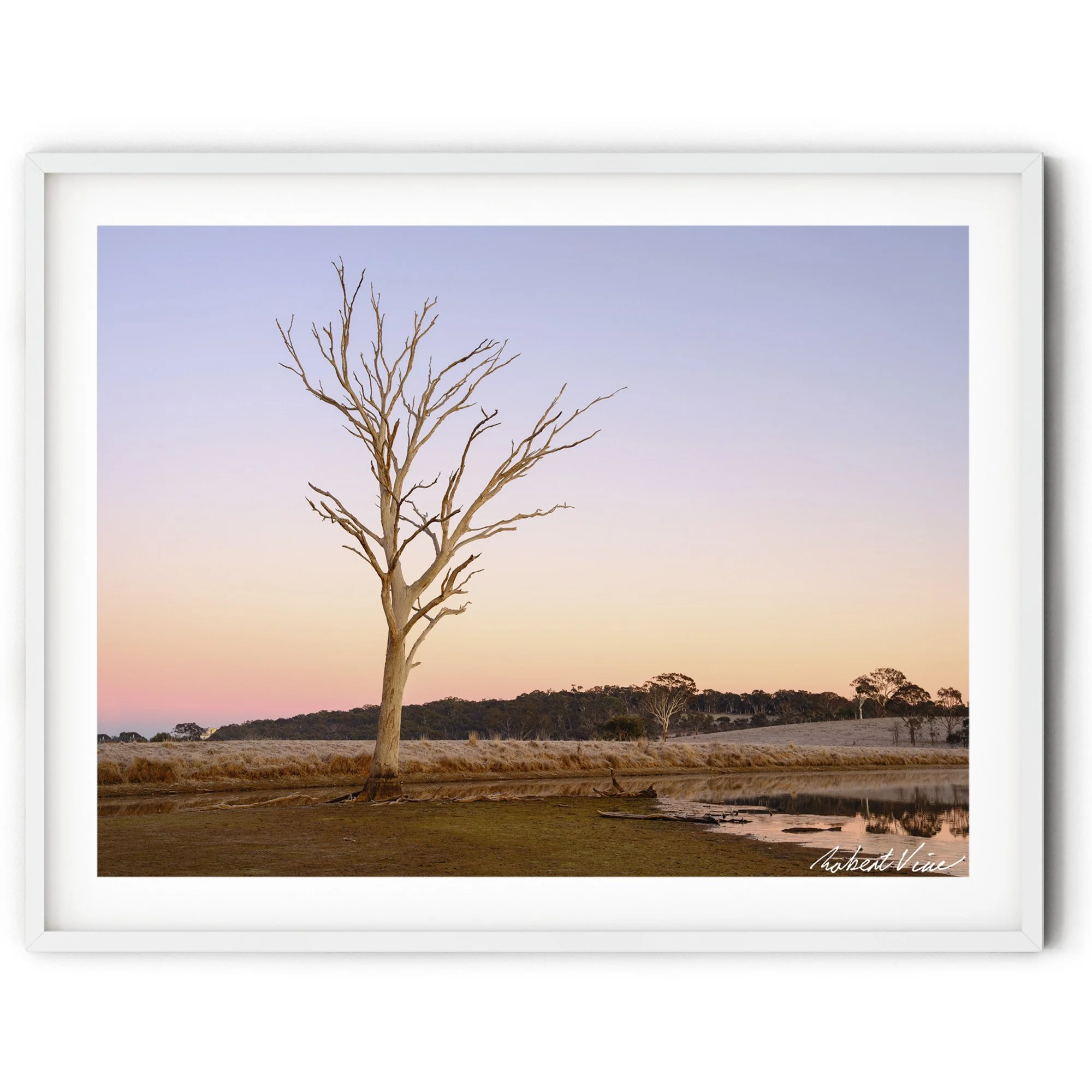 Thumb Horizontal.jpg