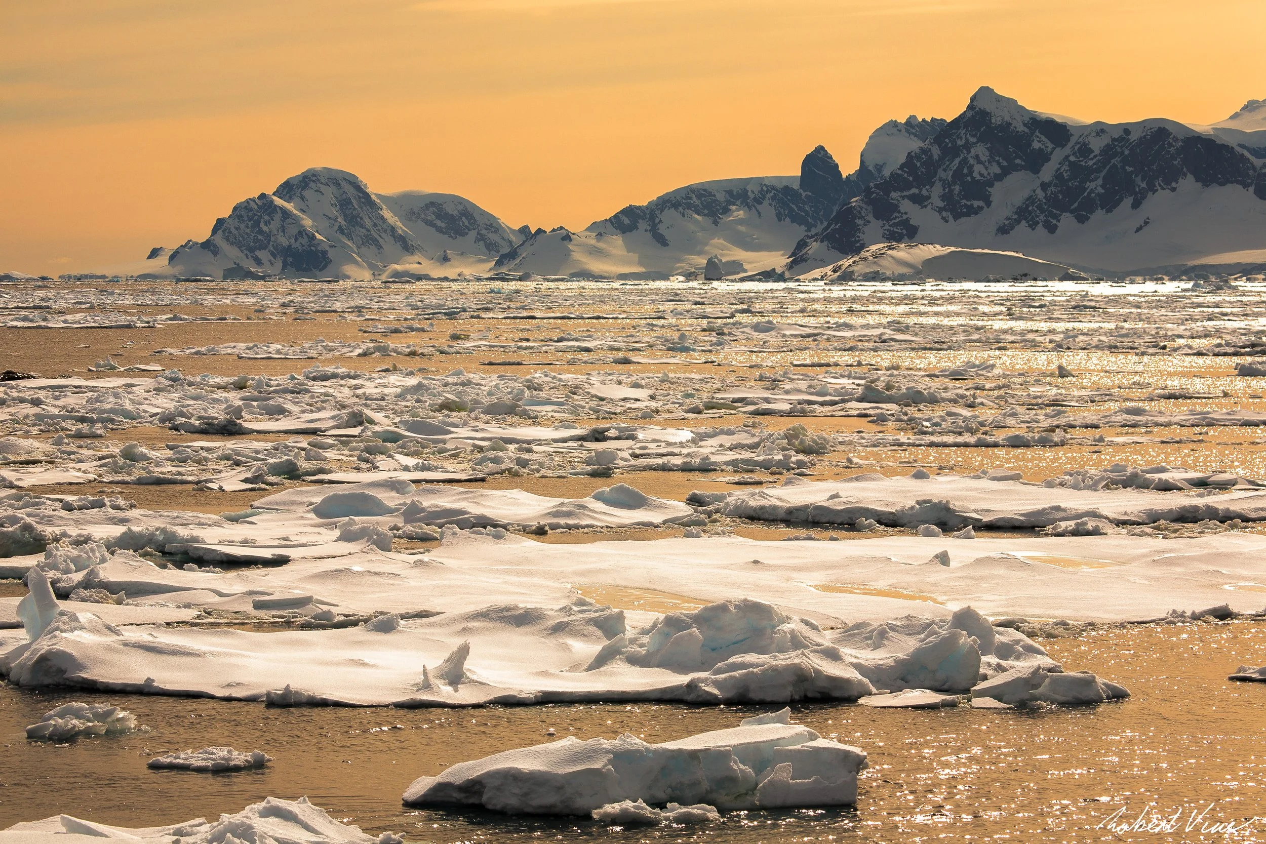 Flood and Fire-28.jpg