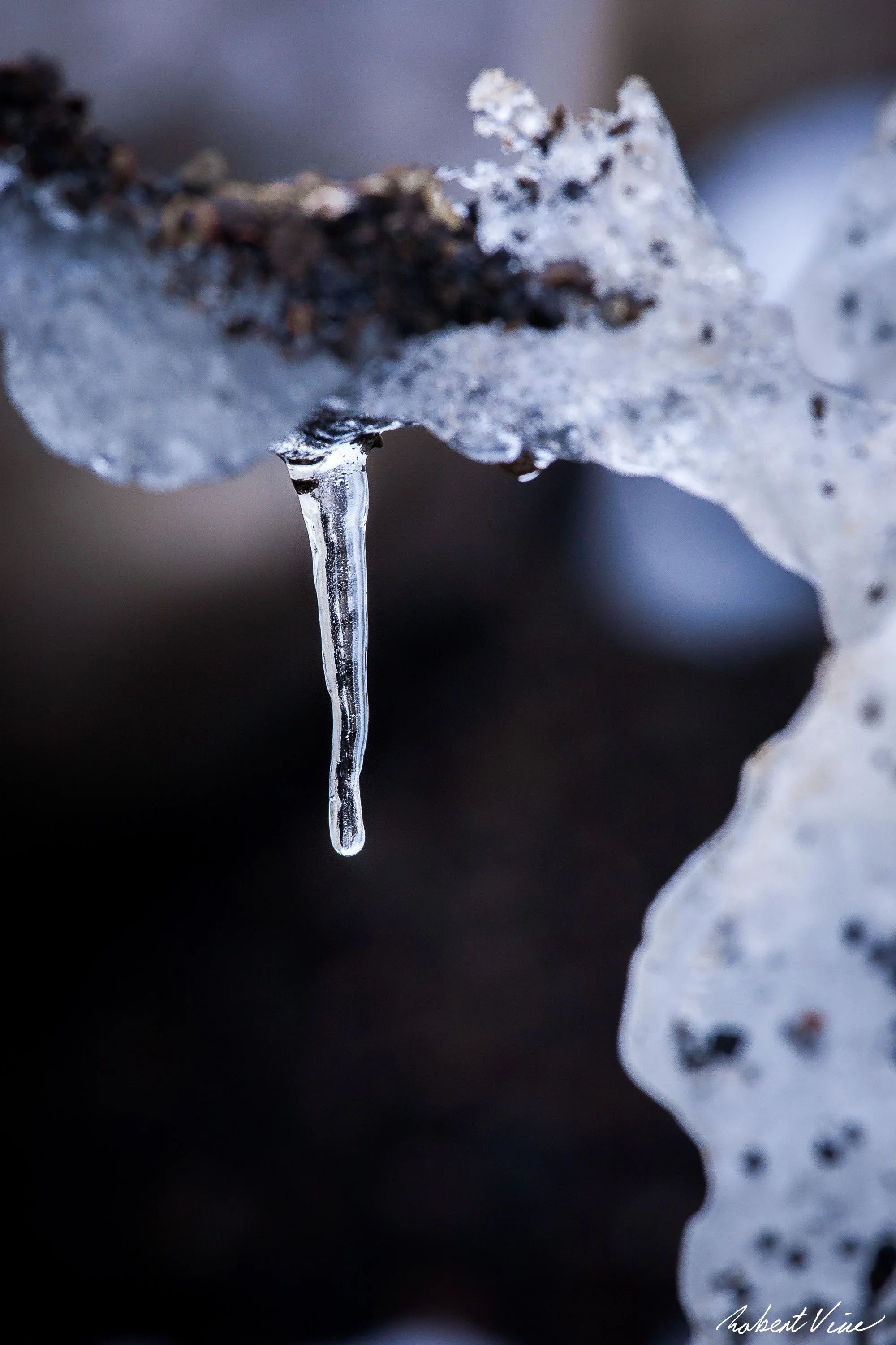 Flood and Fire-48.jpg