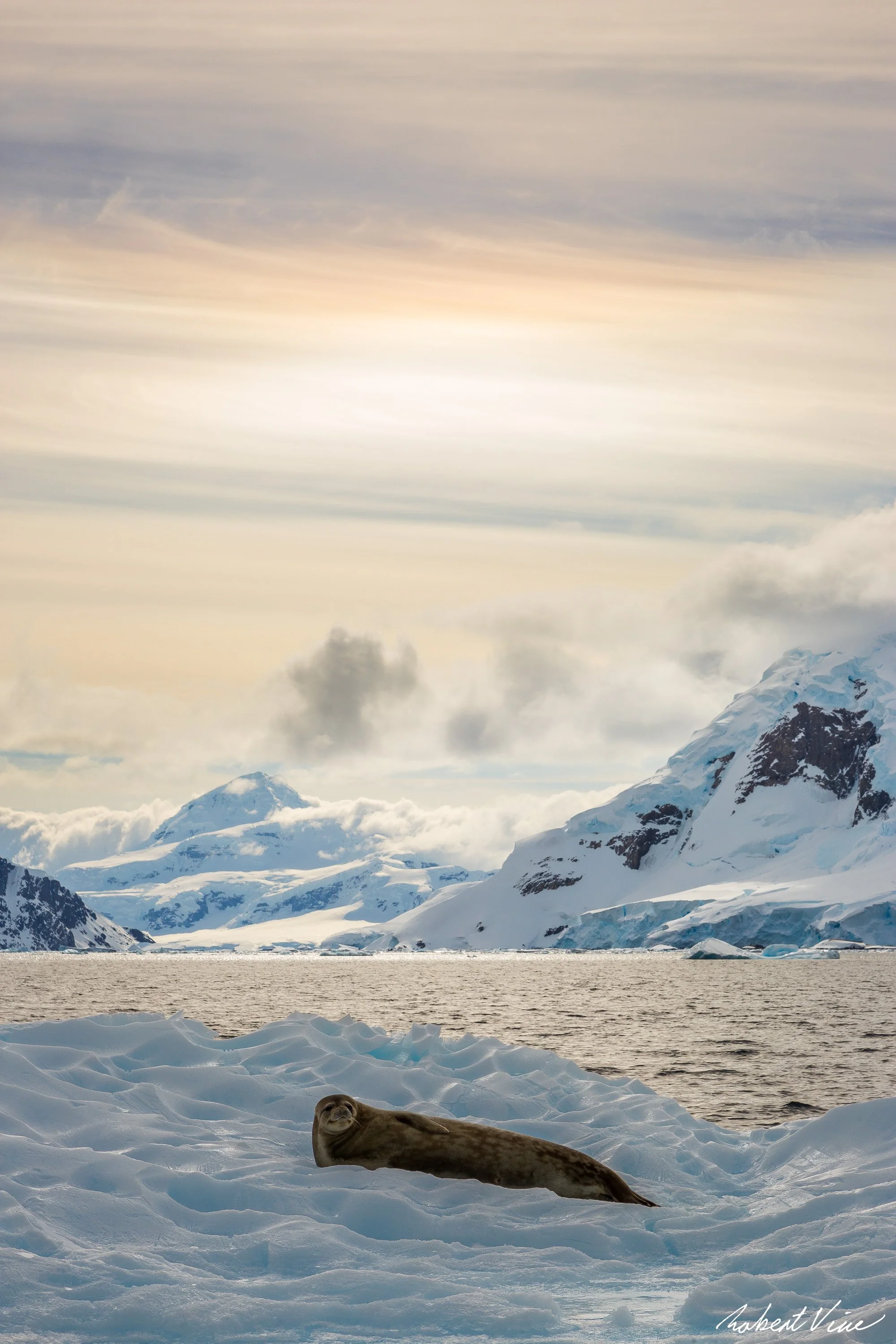 Flood and Fire-34.jpg