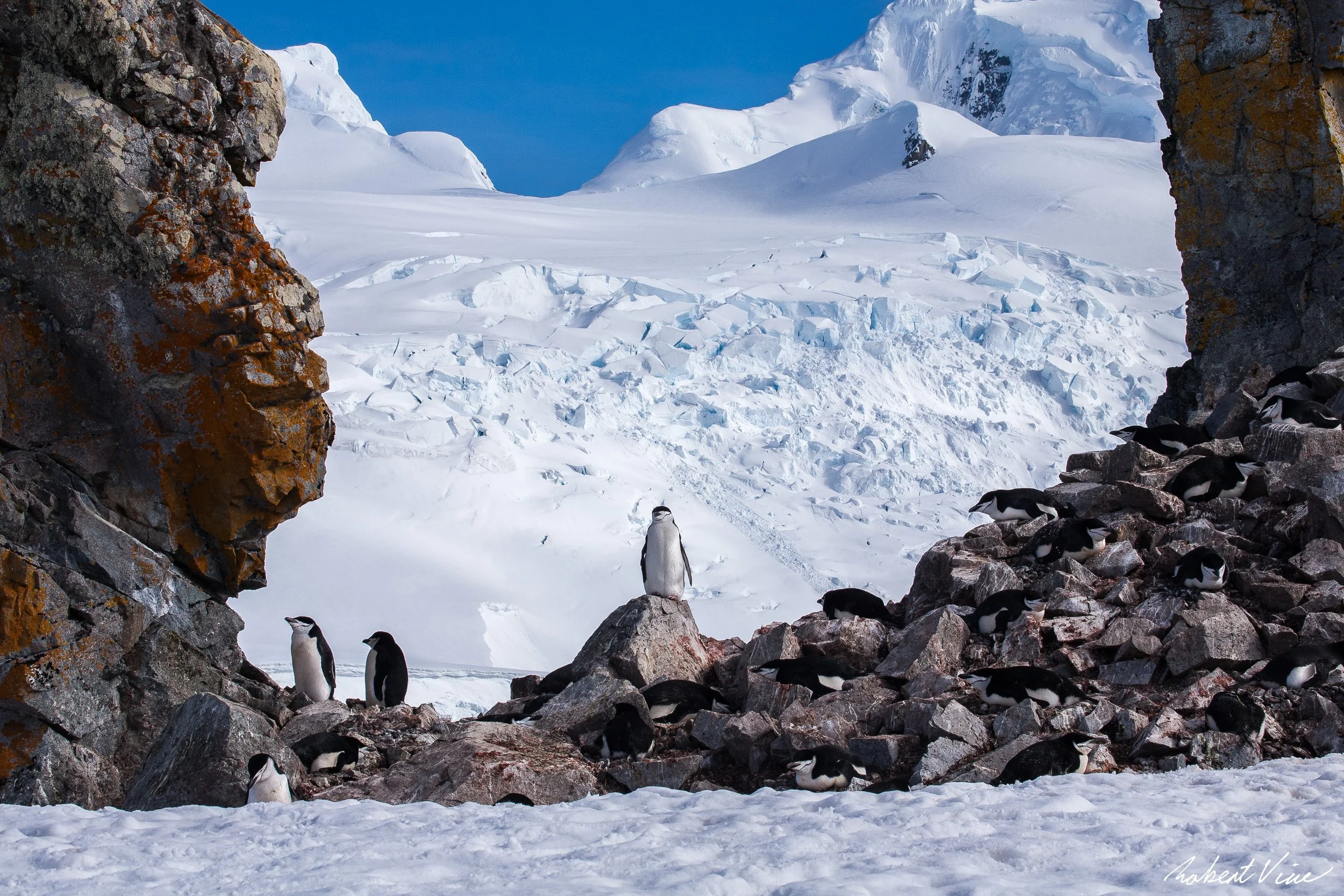 Flood and Fire-8.jpg