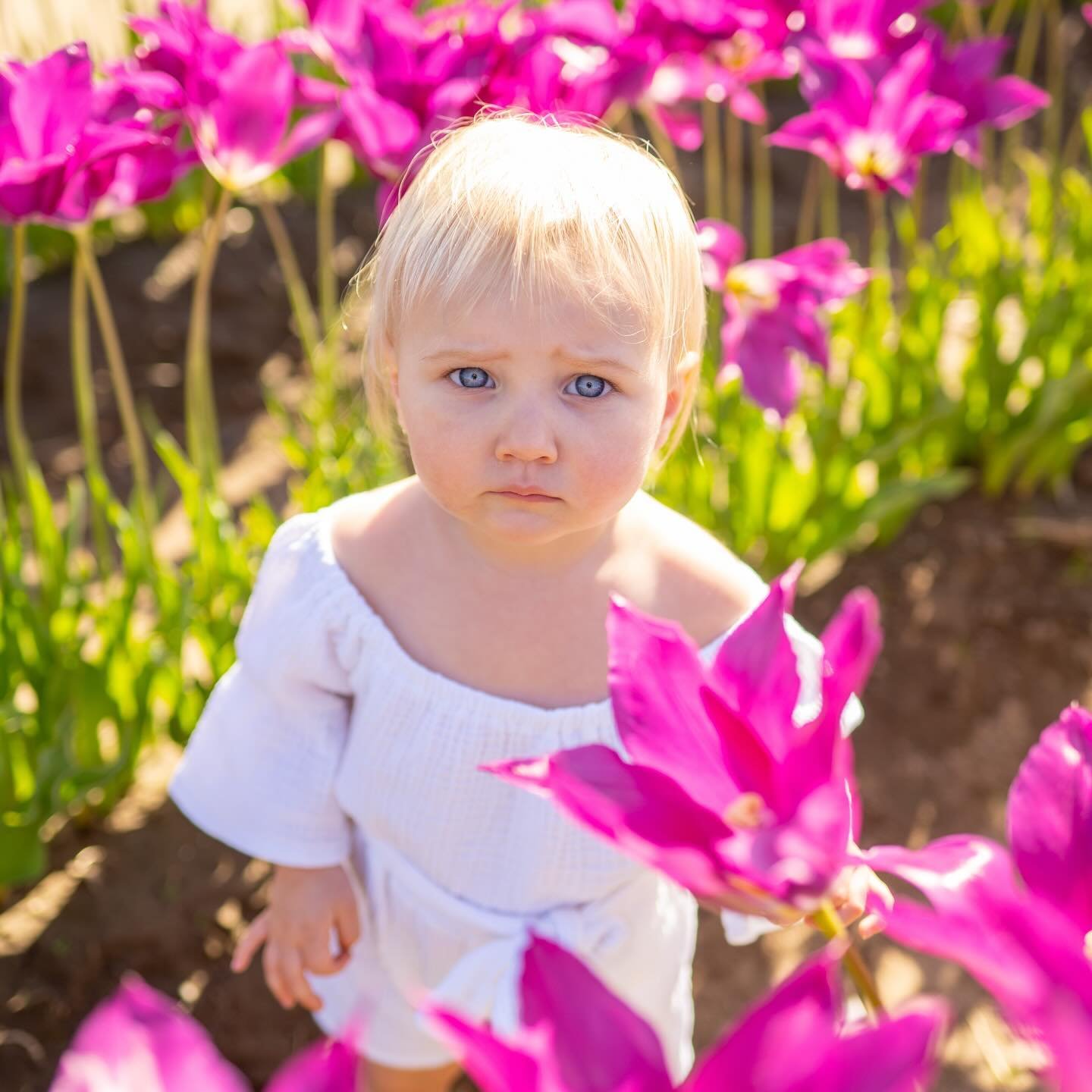 A bunch of kiddos in a tulip field 🌷🌷🌷