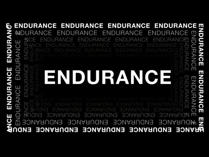 type_330_endurance_comp_002.gif
