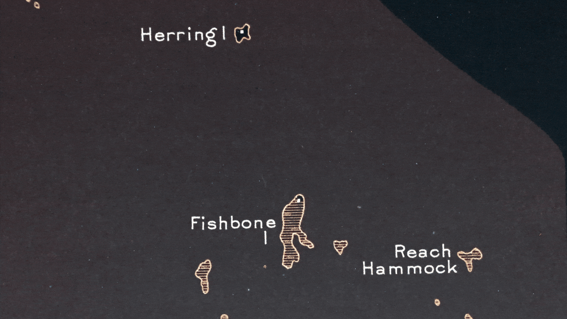 Adobe Express - CONTOUR_test2.gif