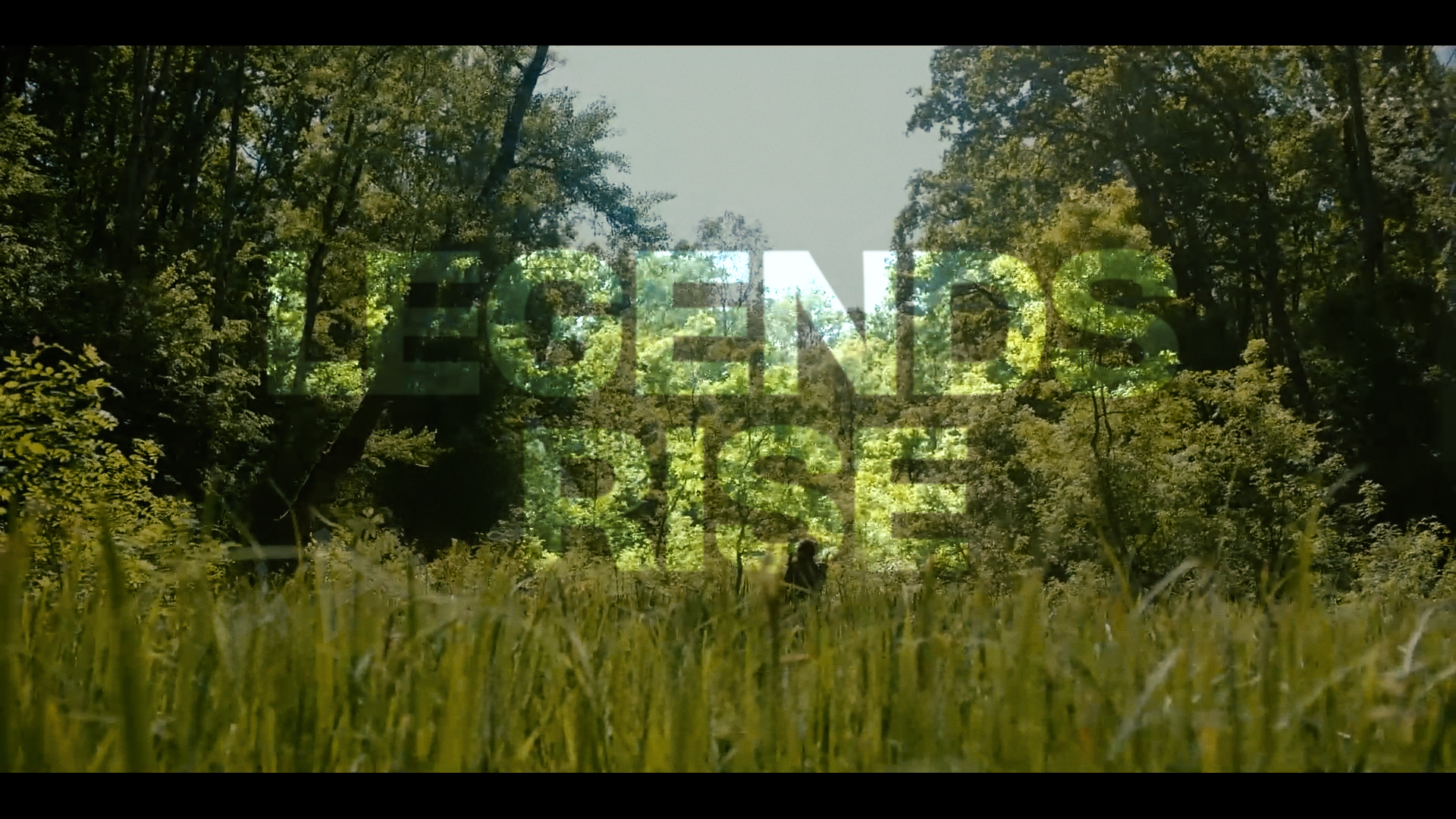 25_RH_Frame5_v001_hd_00001.png