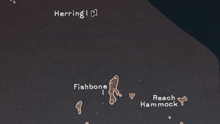 Adobe+Express+-+CONTOUR_test2.gif