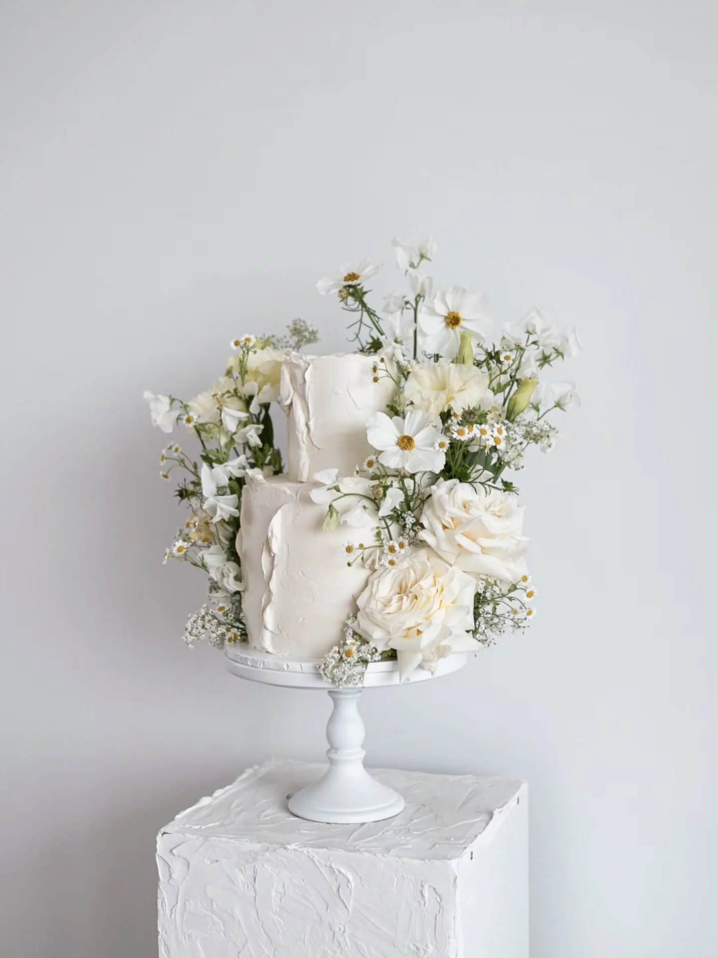 A study in softness ✨