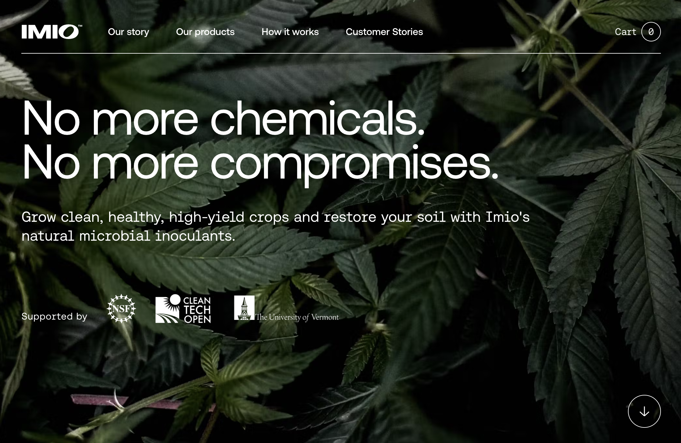 Screen Shot 2023-04-21 at 6.49.43 AM.png