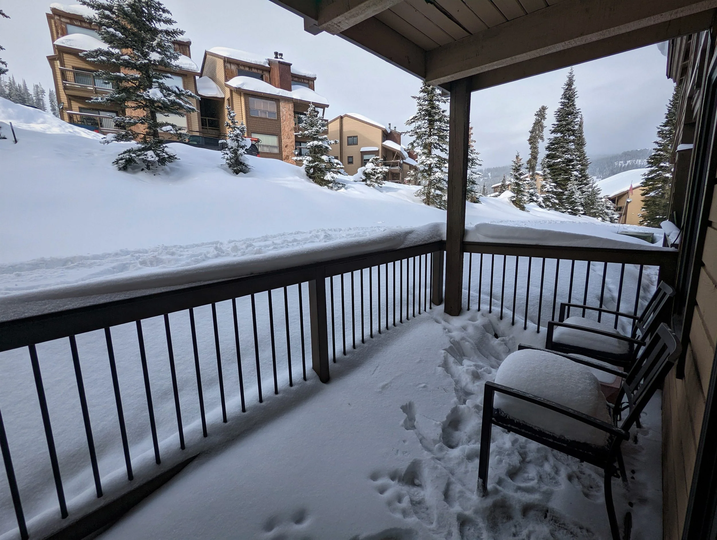 PXL_20221212_203312669 (2).jpg