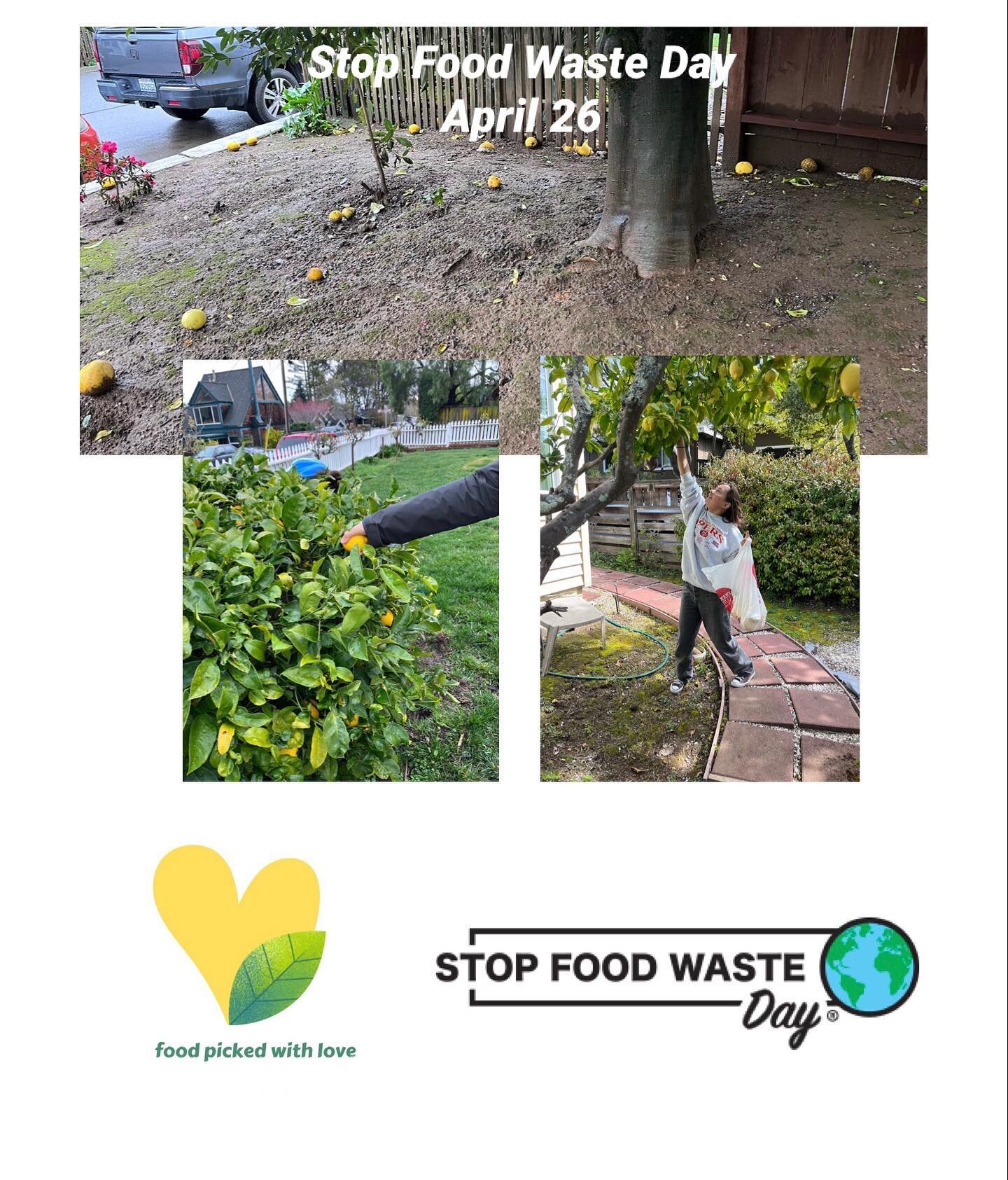 April 26th is Stop Food Waste Day. One Food Picked with Love chapter has donated over 4,000 pounds of fresh fruit, that otherwise would have mostly gone to waste. Join Food Picked with Love and help decrease food waste in your community. Link in BIO.