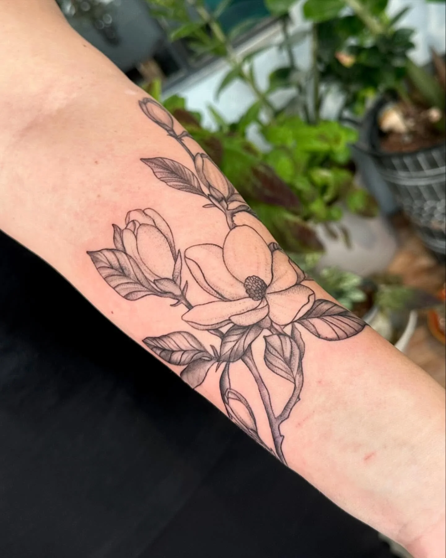 Magnolia for Teri ✨