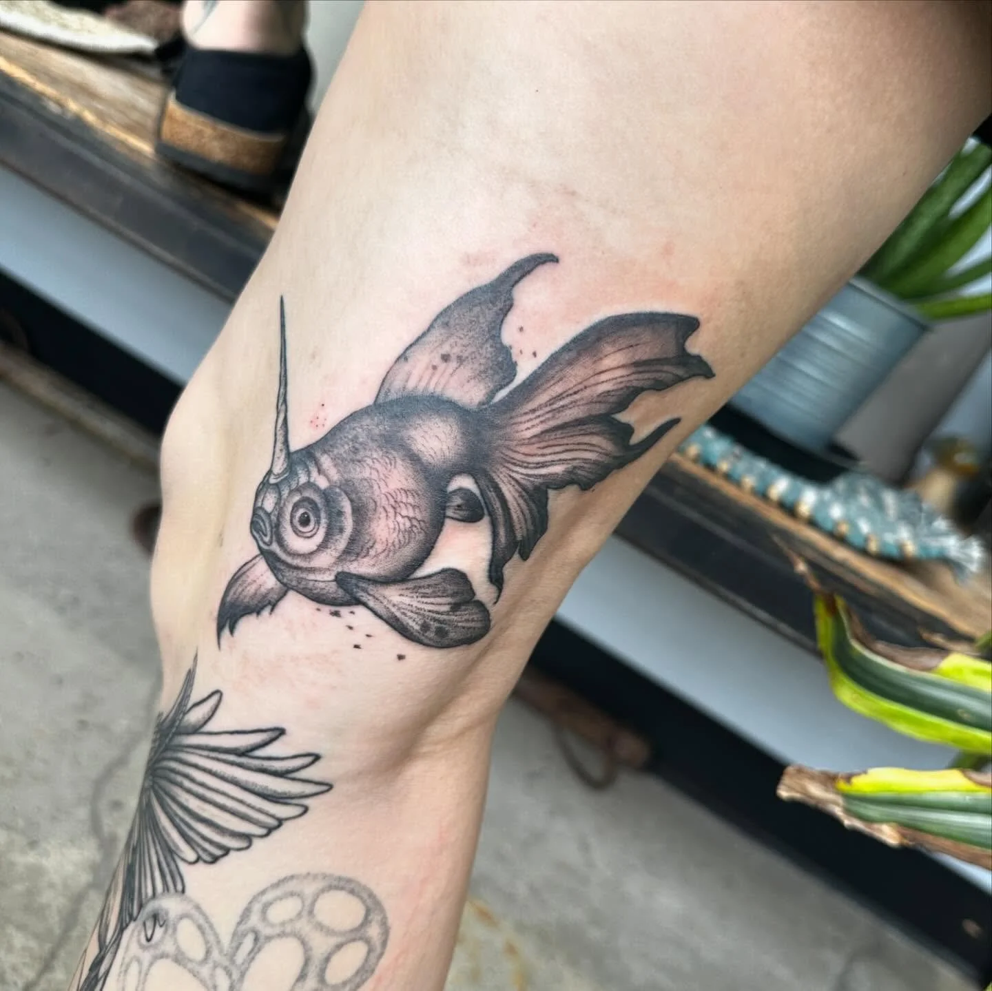 Unicorn goldfish for @prettyokpokes! Tysm 🫶

#okctattoos 
#blackwork 
#vitalitree 
#hybrid