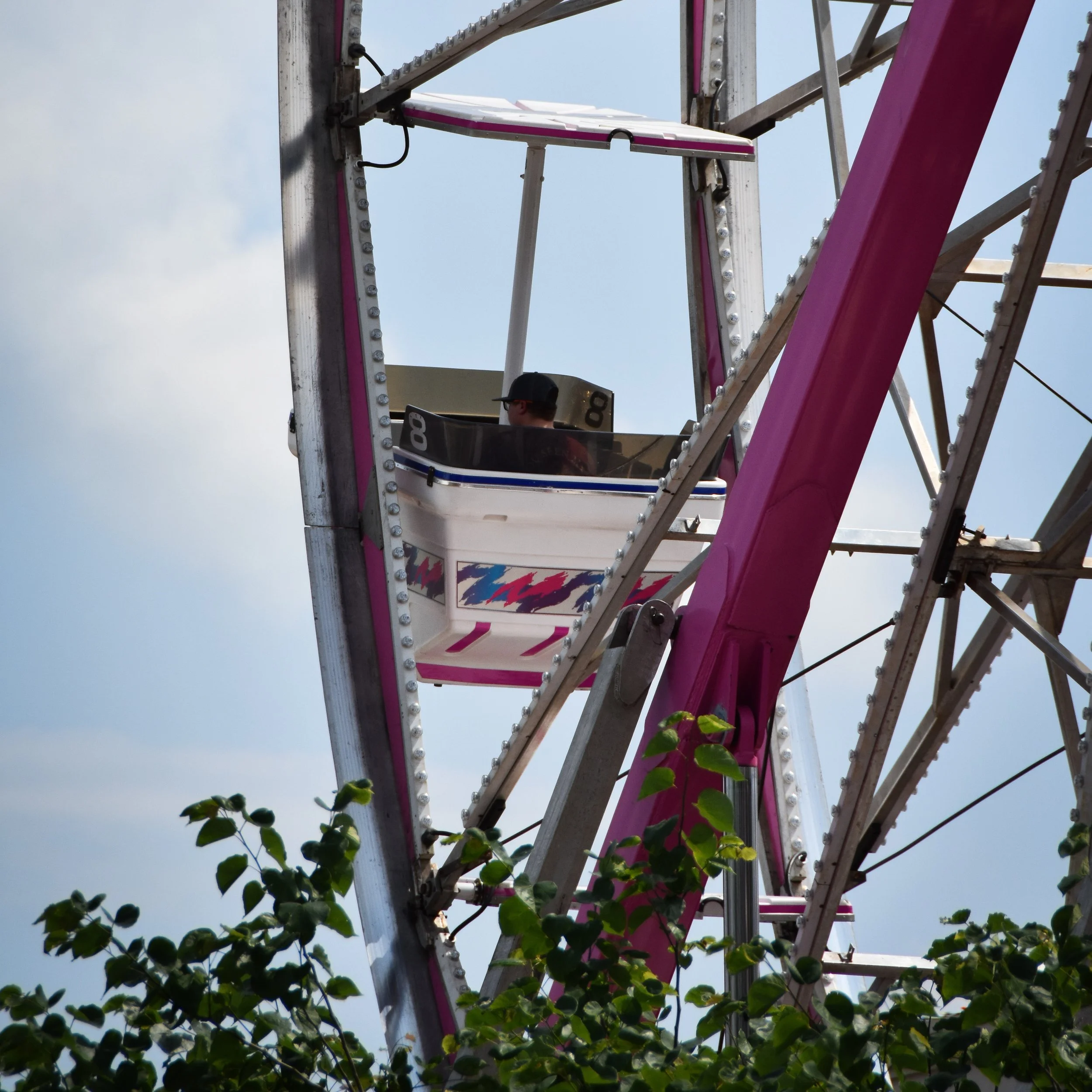 DSC_0350 2.jpg