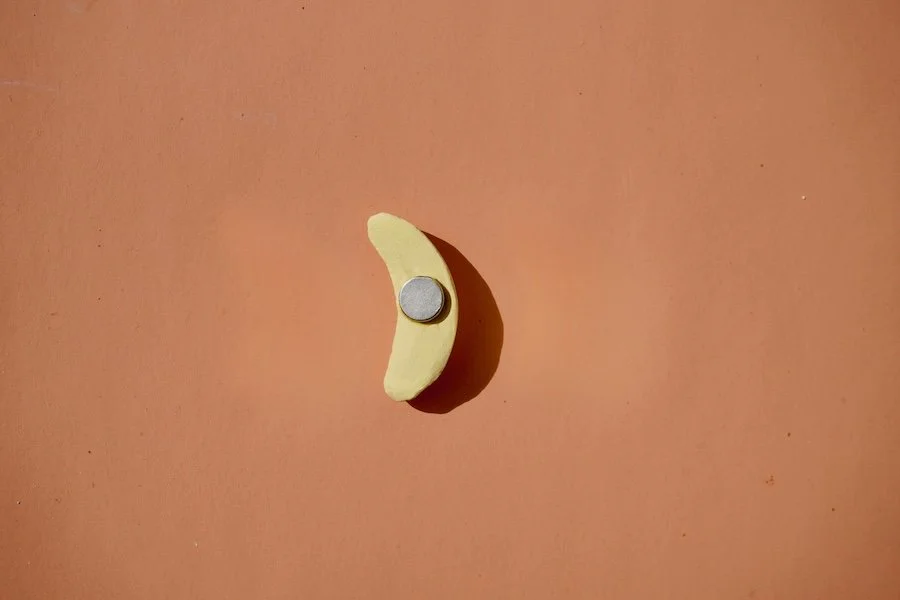 Austin_flowers_ceramic_banana_lolly_magnet_back.jpeg