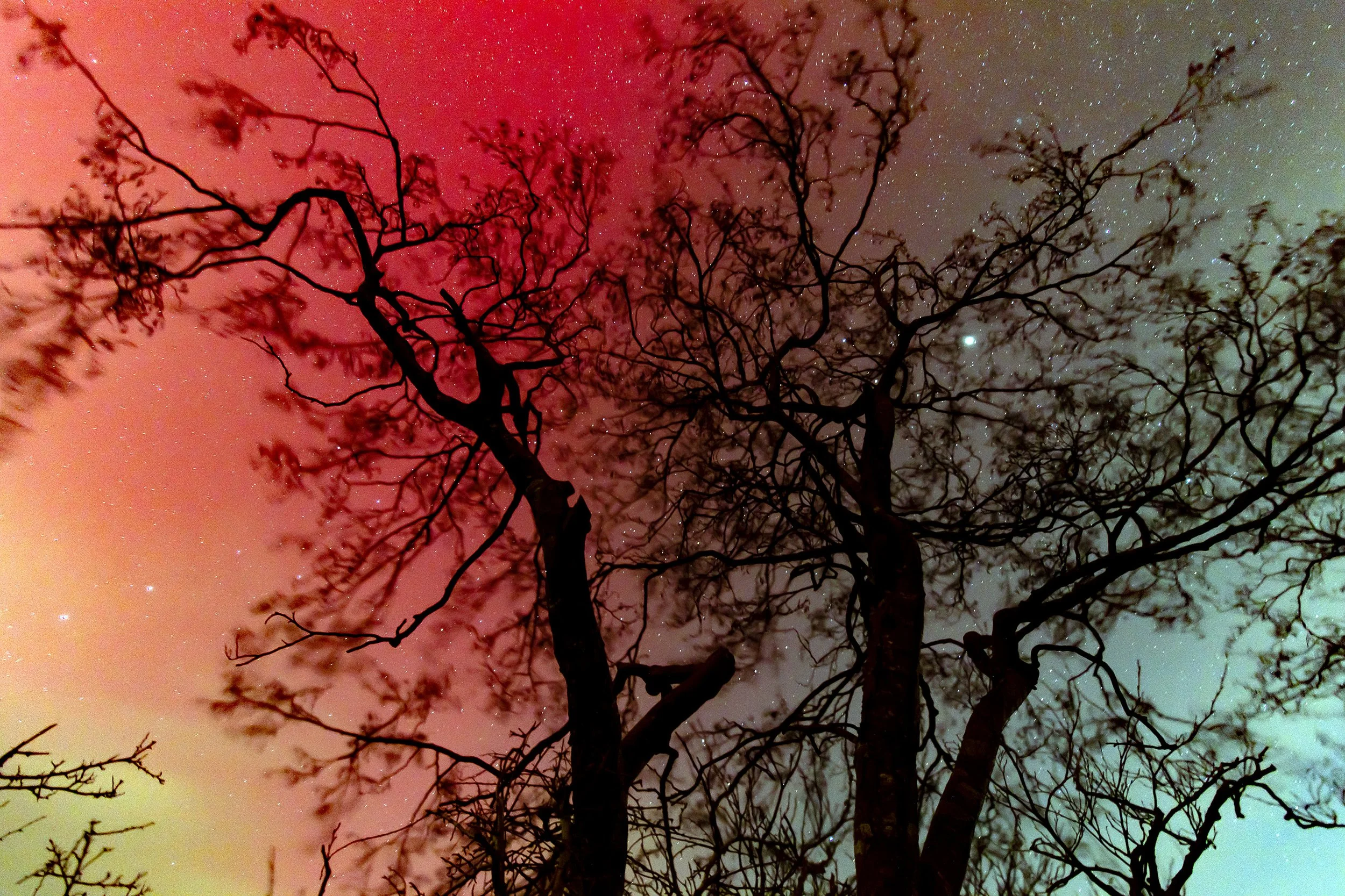 "Jupiter & Aurora",  North Cork, Ireland