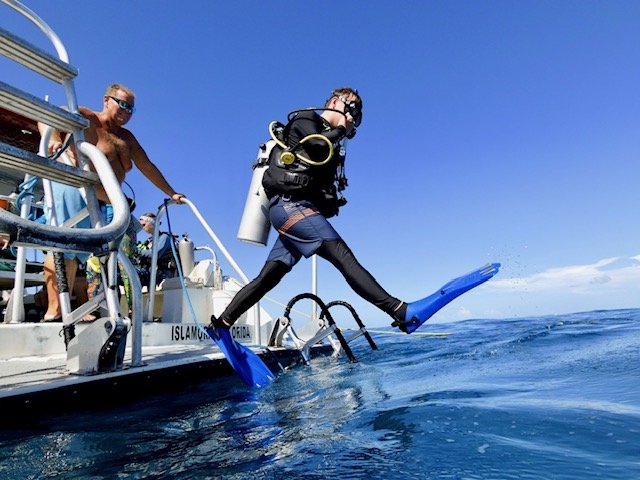 MICR1568.jpg