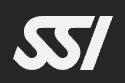 SSI Logo