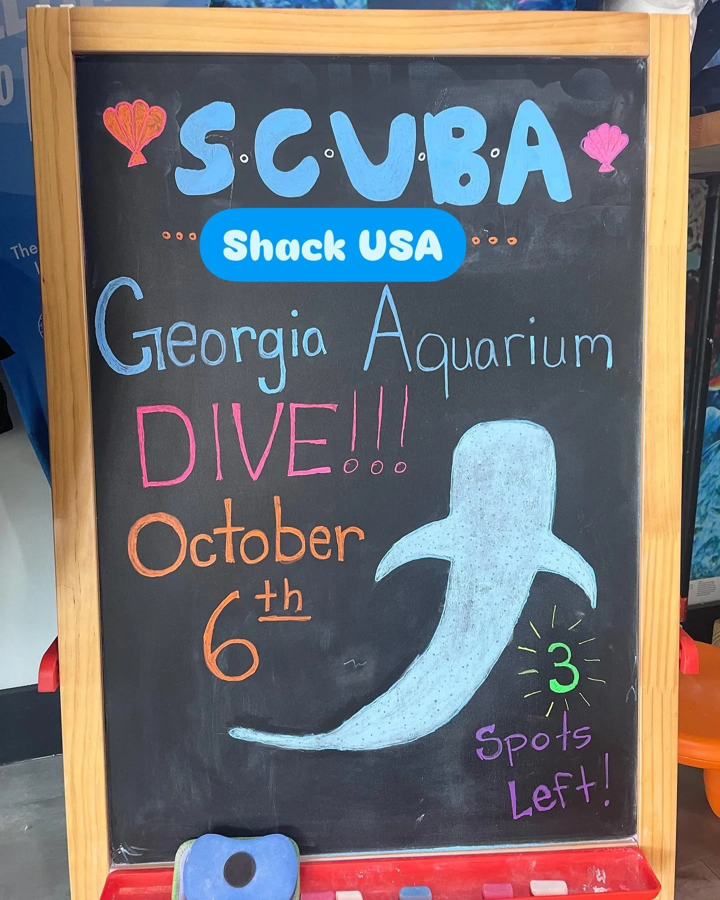 Last chance to join our Georgia Aquarium dives on October 6th! We only have three spots left for divers to dive with Manta Rays and Whale sharks in the USA&rsquo;s largest aquarium. #georgiaaquarium #scubaschack #aquariumdive