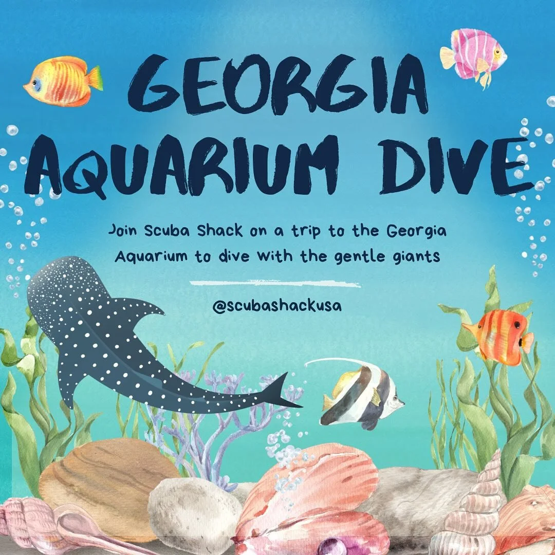 Join us on October 6th to dive with Manta Rays and Whale sharks at the Georgia Aquarium. This once in a lifetime experience will allow you to dive thousands of sea creatures and see behind the scenes of USA&rsquo;s largest aquarium. #scubashackusa #g