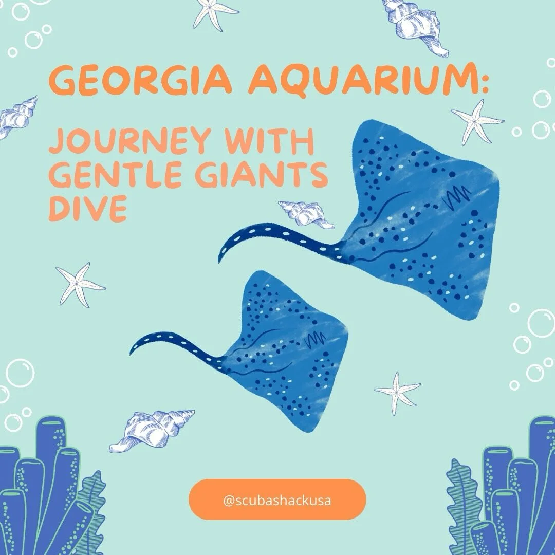 Join the Scuba Shack team August 30th for a dive with whale sharks and manta rays at the Georgia Aquarium! Suit up to SCUBA dive in the lively waters of the Ocean Voyager exhibit, and have the experience of a lifetime. For more information see link i