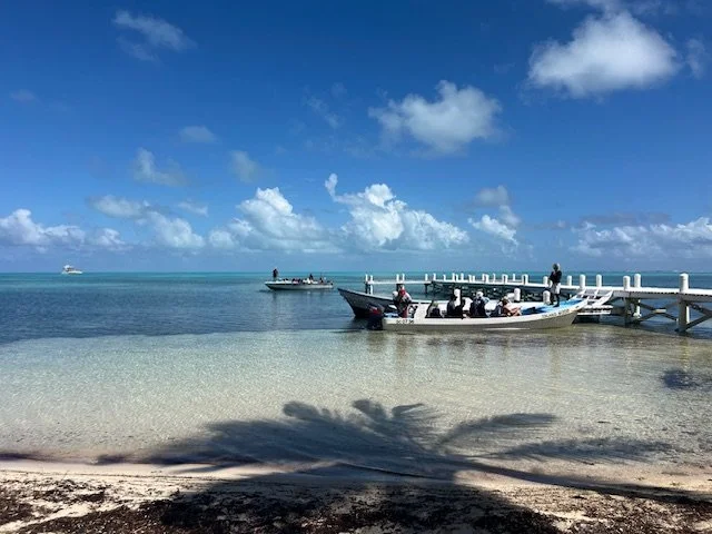 IMG_1064.jpeg