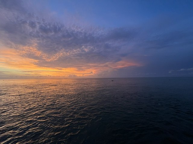 IMG_2653.jpeg