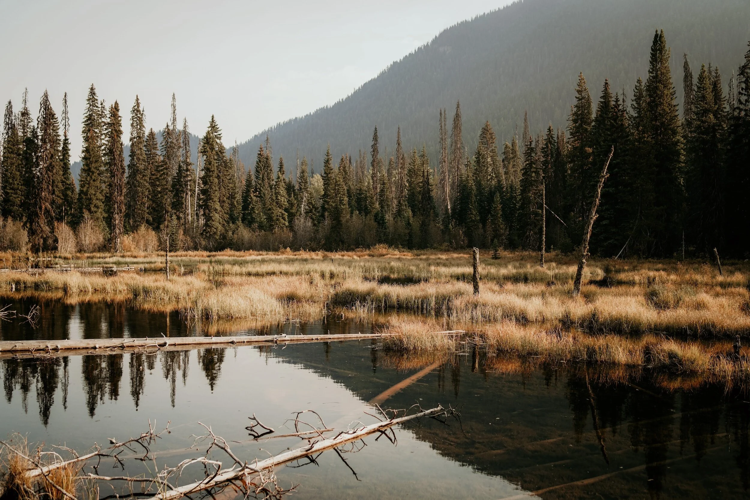 PlanetWEST Update 08/04/23