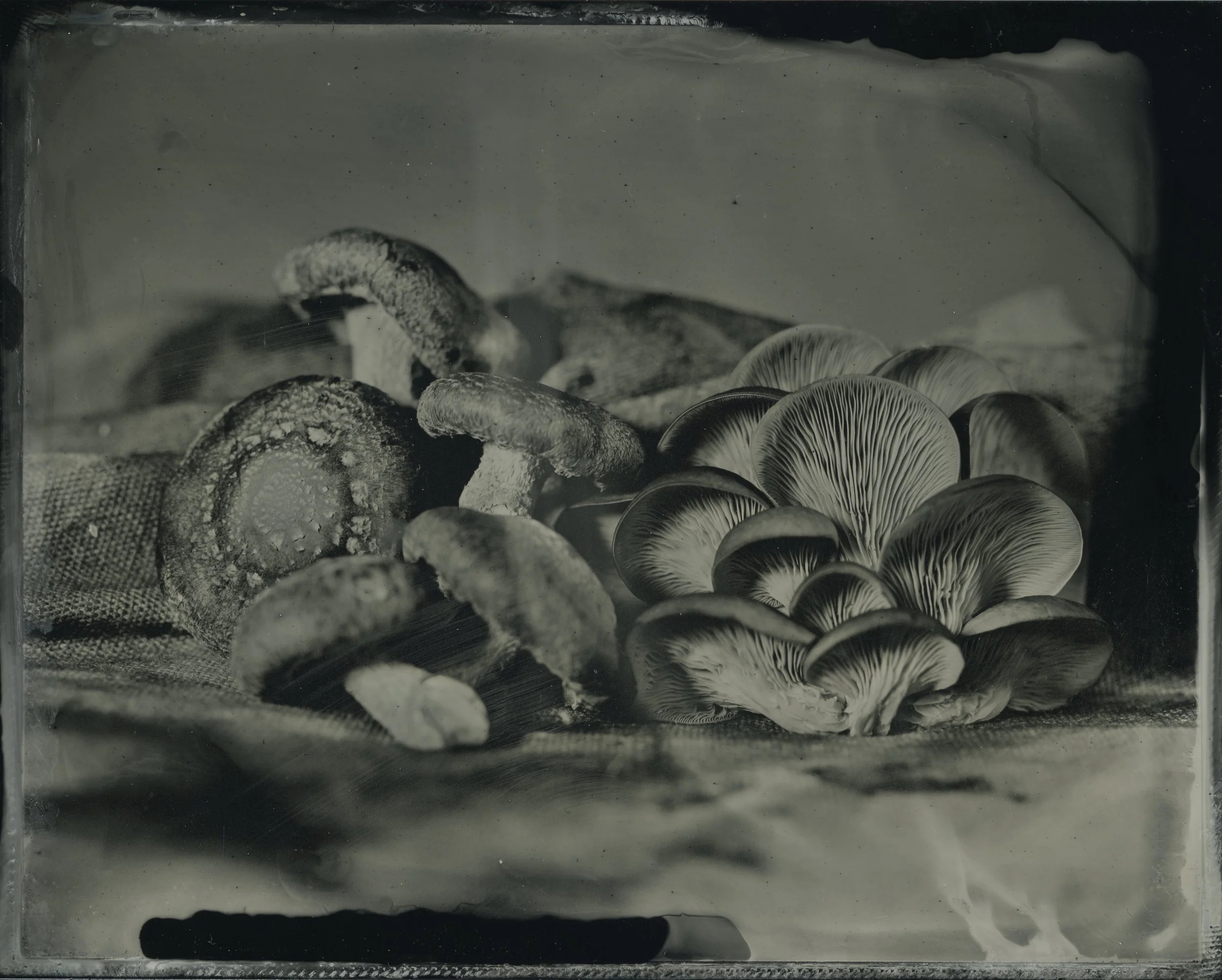 Tintype — Jesse Peeler Photography