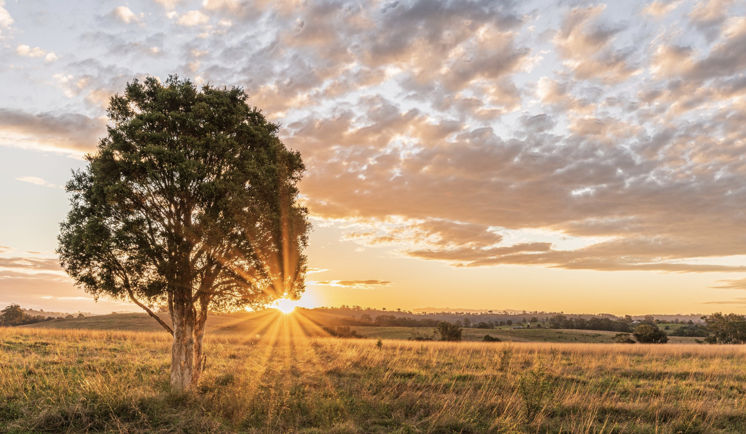 Environmental condition accounting workshop - Dubbo
