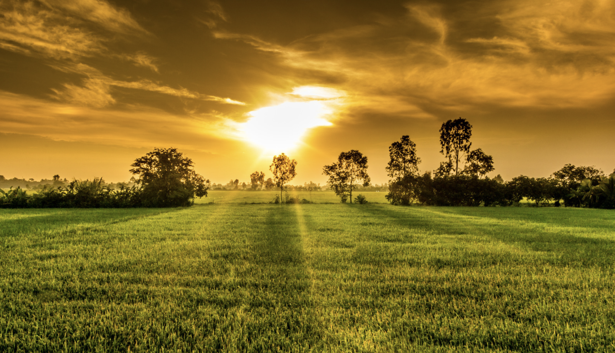 Farming on the fringe