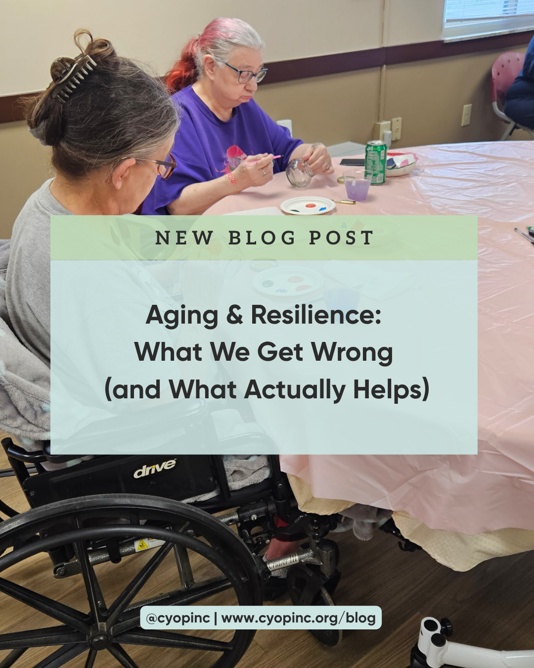Aging &amp; Resilience: What We Get Wrong (and What Actually Helps)