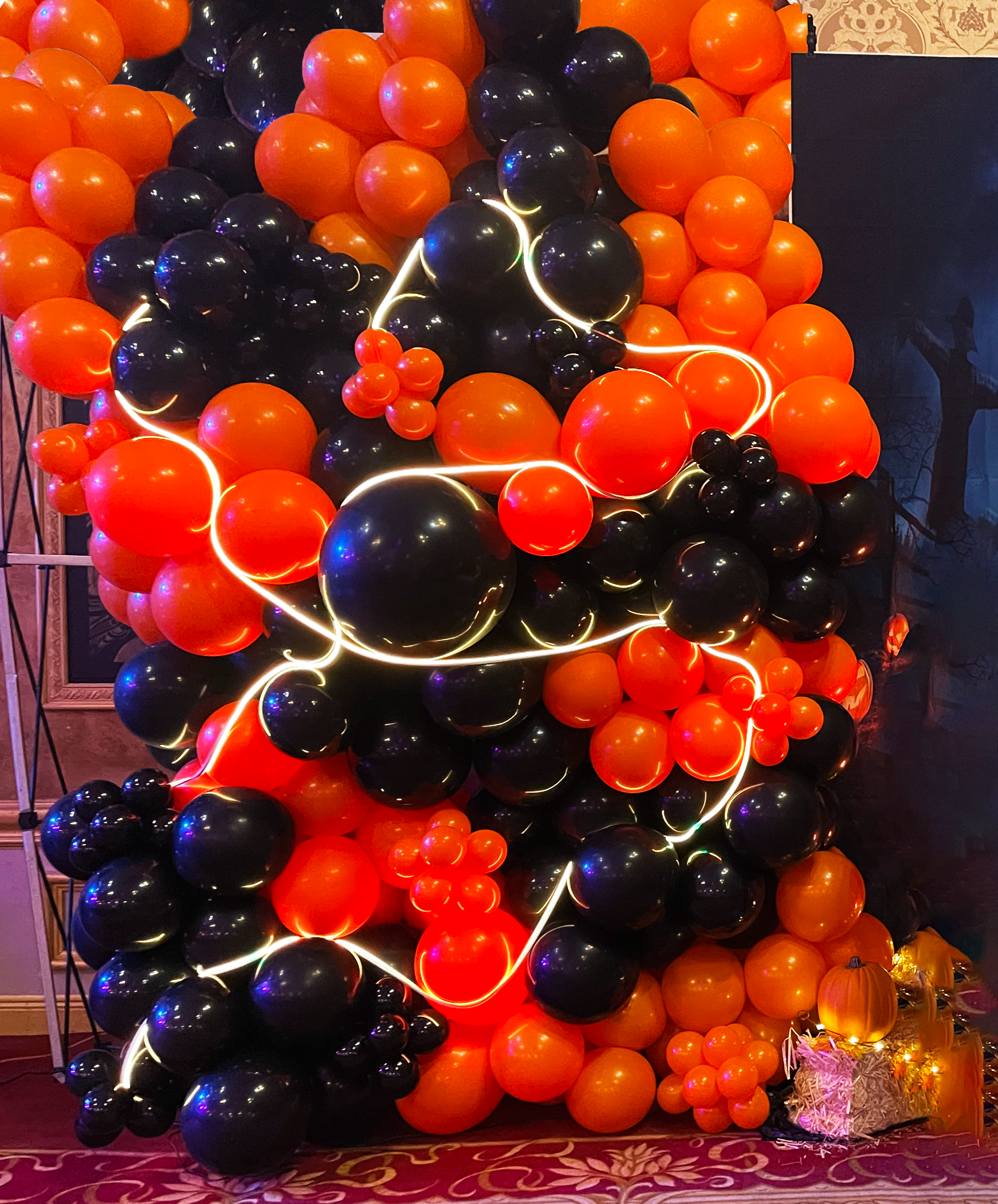 Party Balloon Gate Decoration