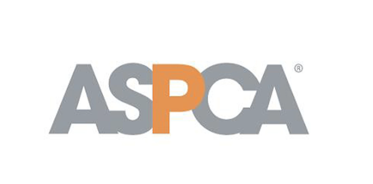 Screen Shot 2023-04-01 at 5.51.49 PM.png