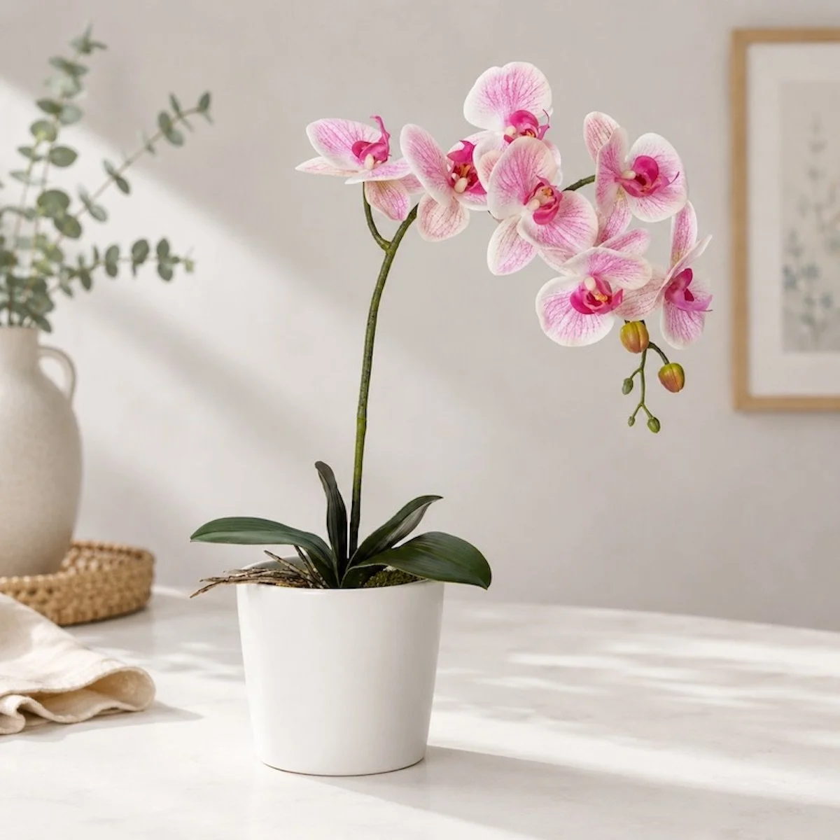 Mini Orchid Plant with vibrant flowers and bold leaves in a compact pot, elegant indoor gift, perfect for home or office, Levin delivery available