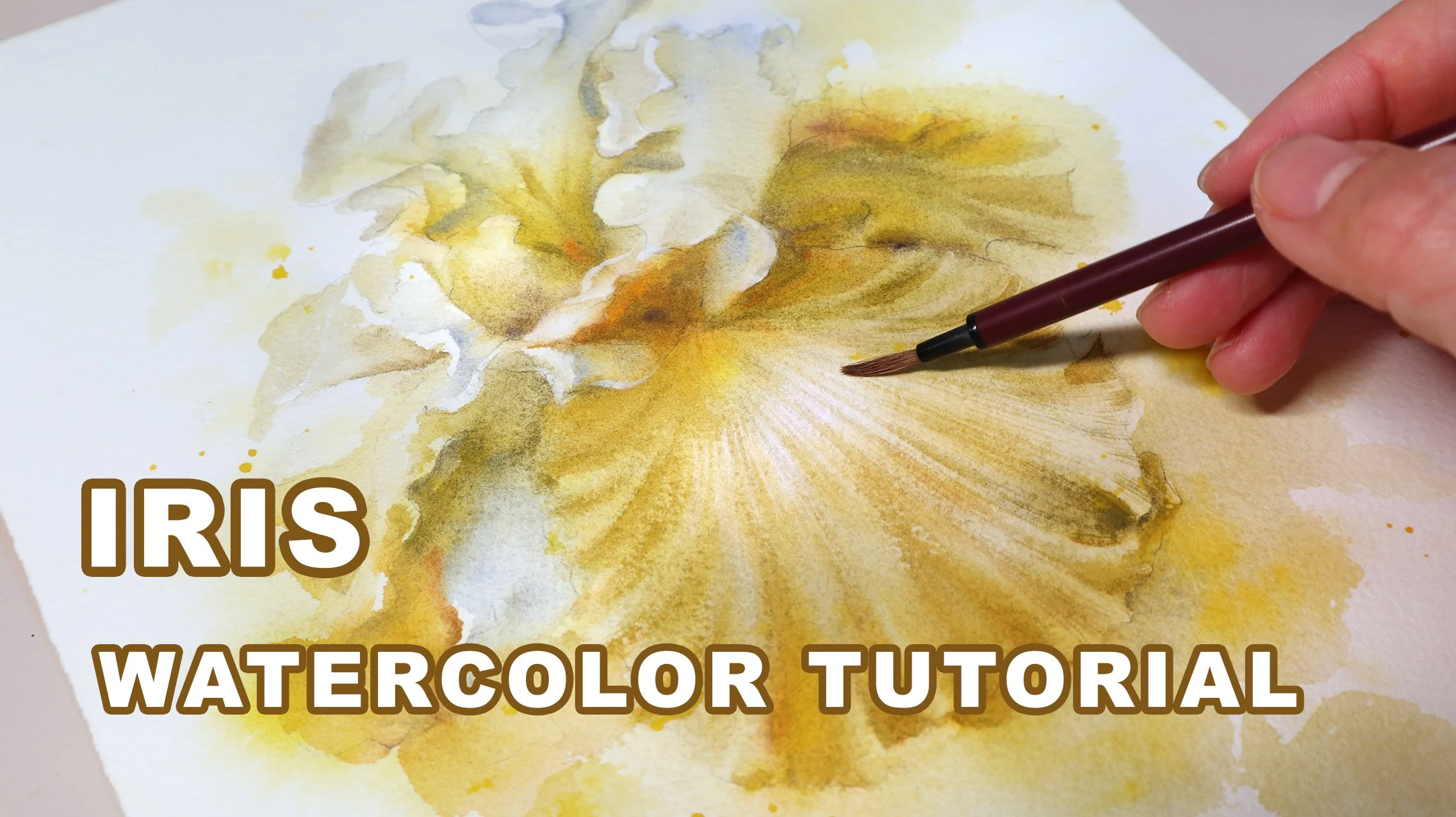 Yellow Iris (Realtime with voiceover)