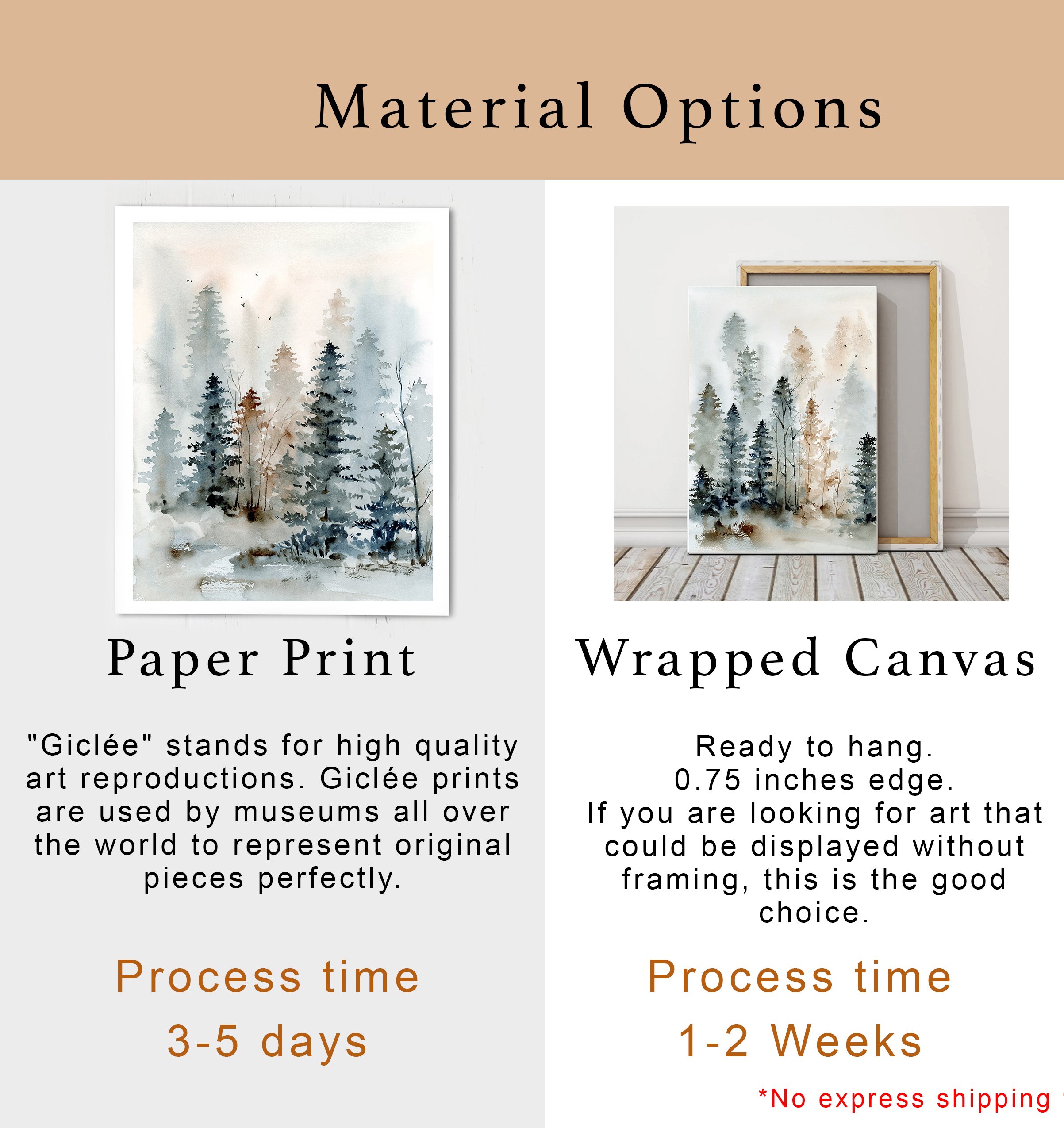 NEW VQMaterial options 2.jpg