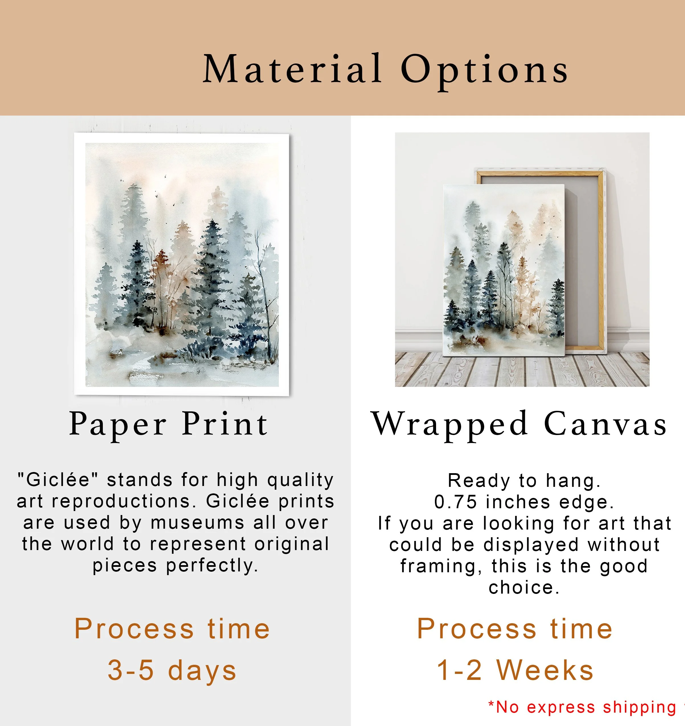 NEW VQMaterial options 2.jpg