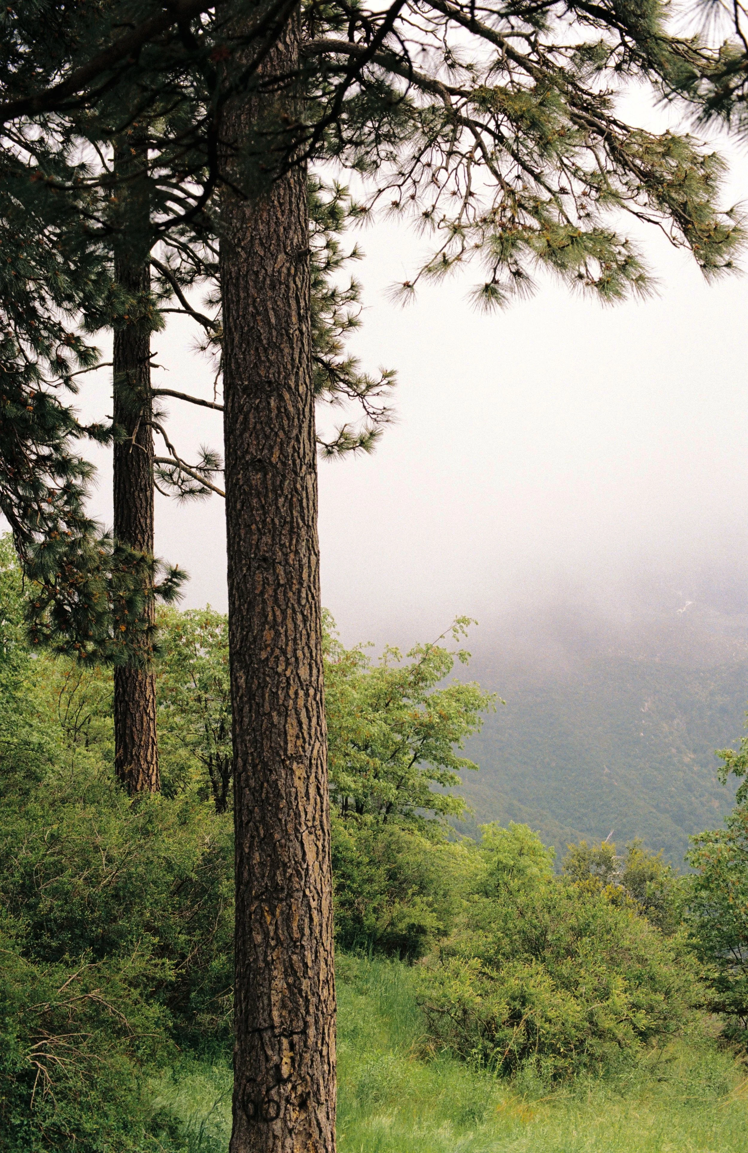 R1-06248-014A.jpg