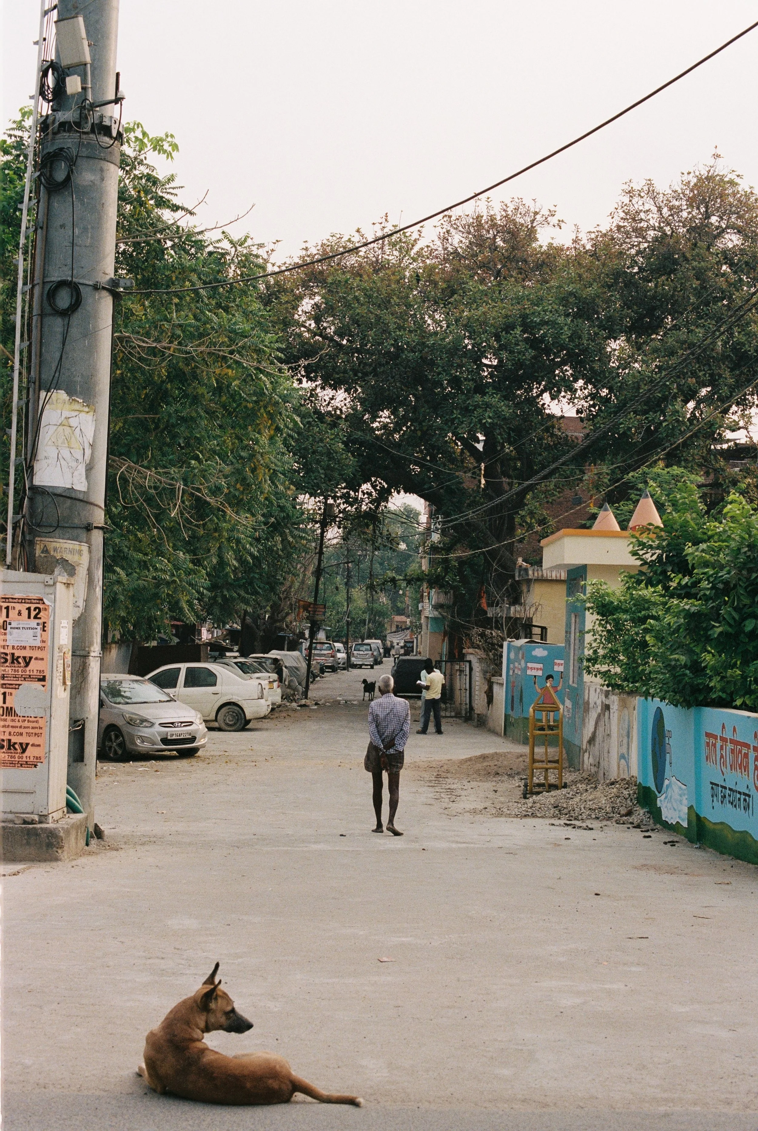 13.JPG