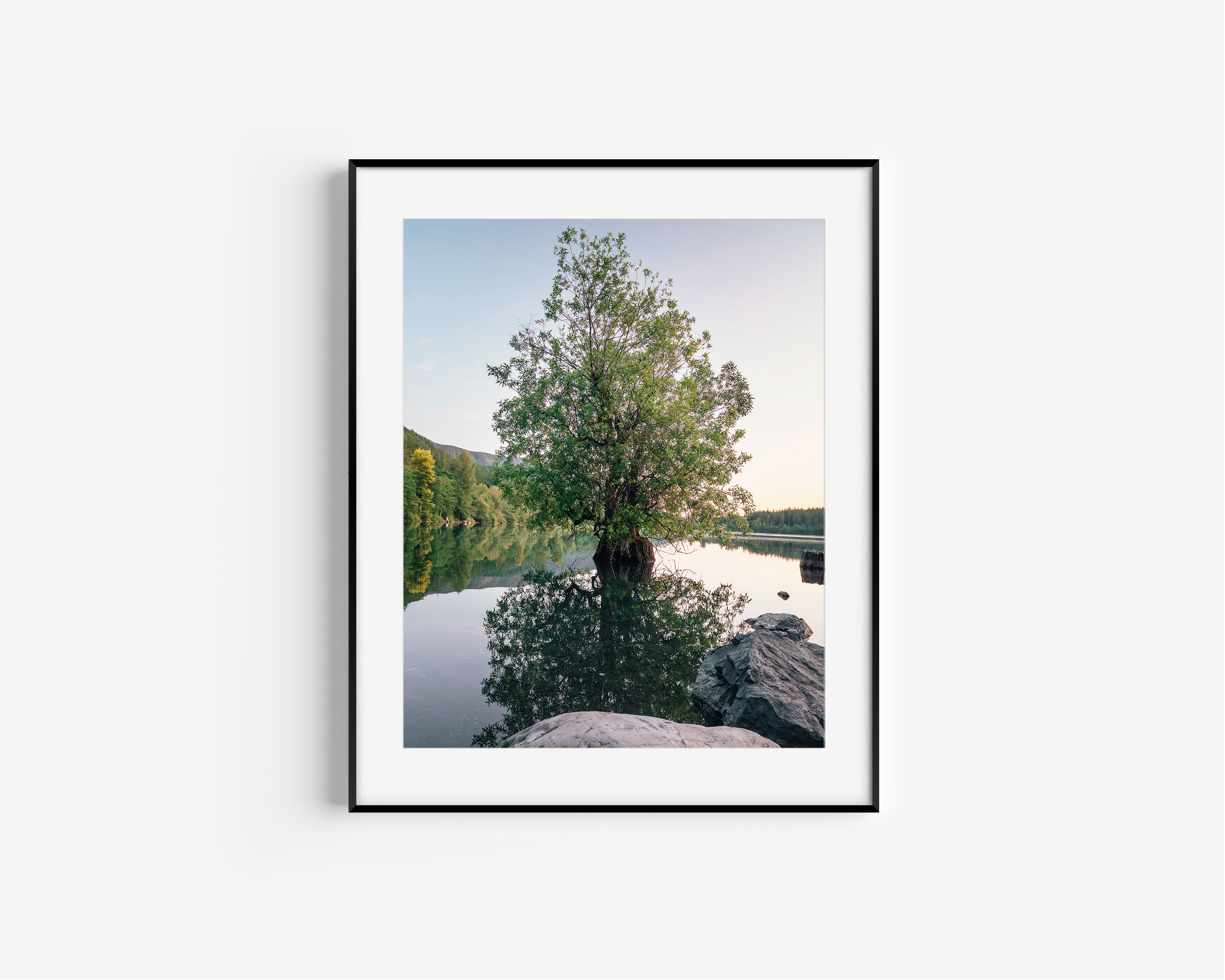 Framed Mockup 2 - Tree in Lake.png